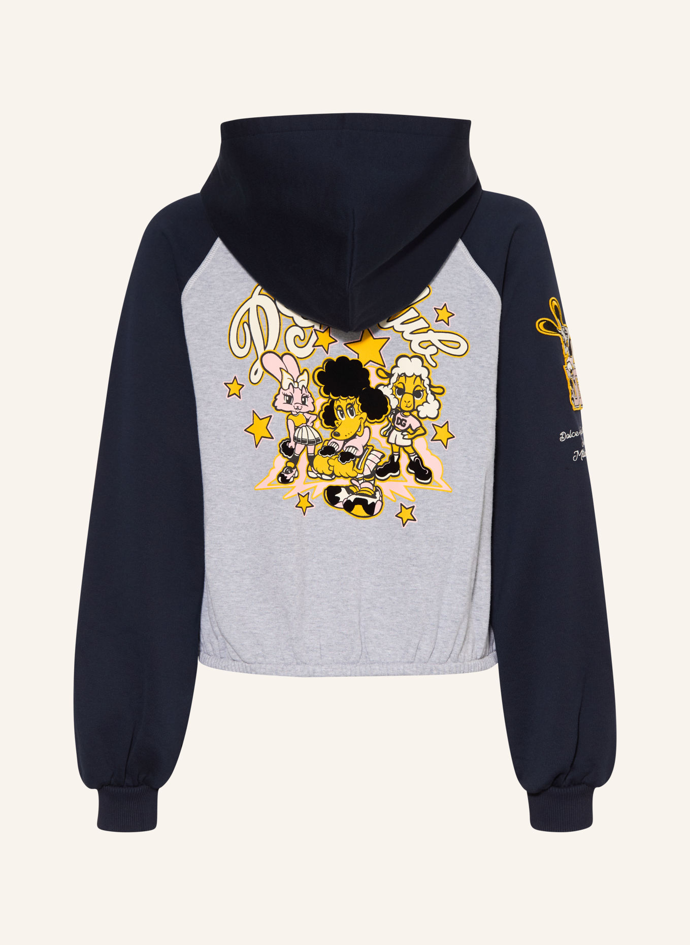 DOLCE & GABBANA Sweatvest: DONKERBLAUW / LICHTGRIJS / GEEL