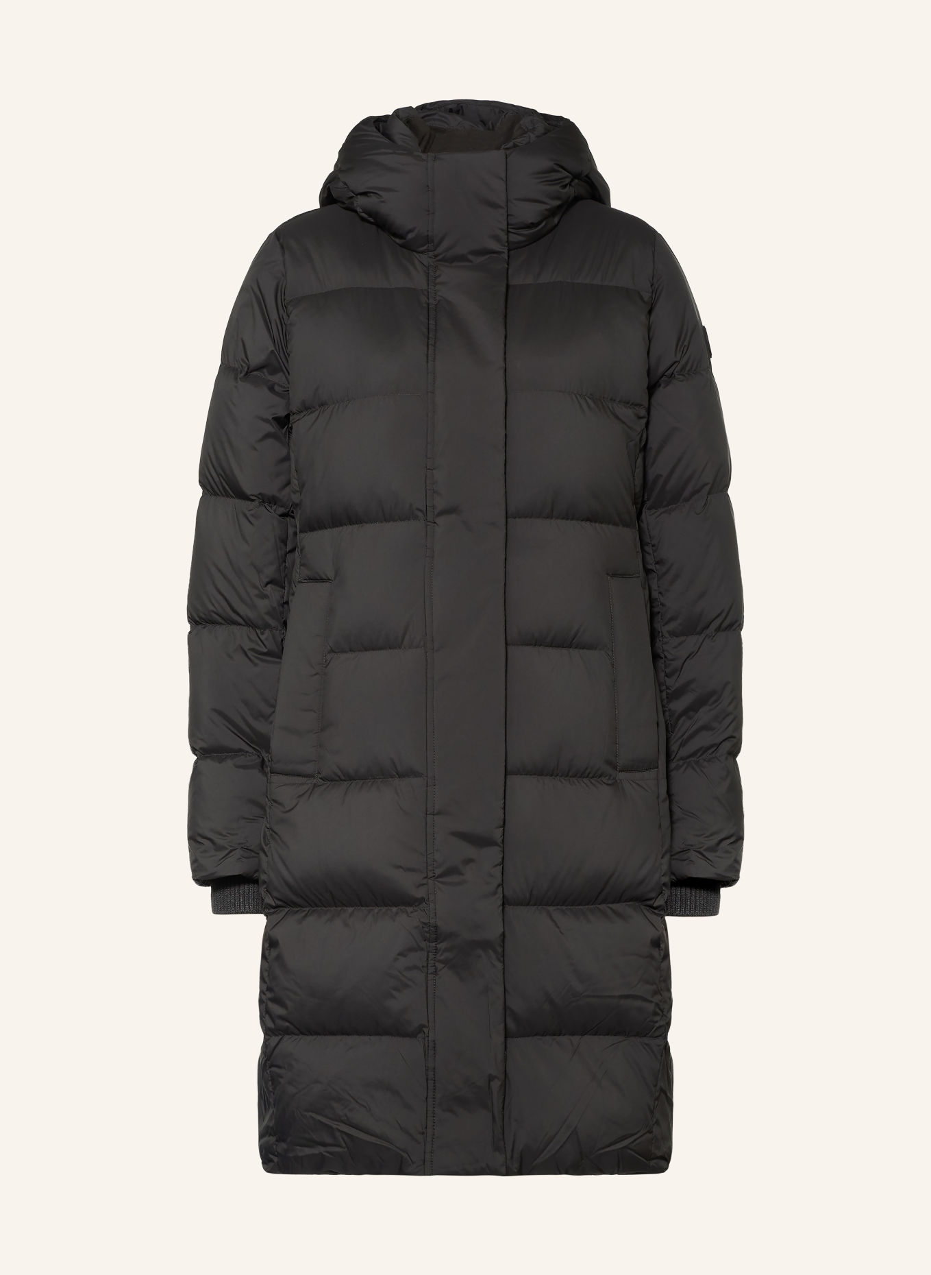TOMMY HILFIGER Daunenmantel: SCHWARZ
