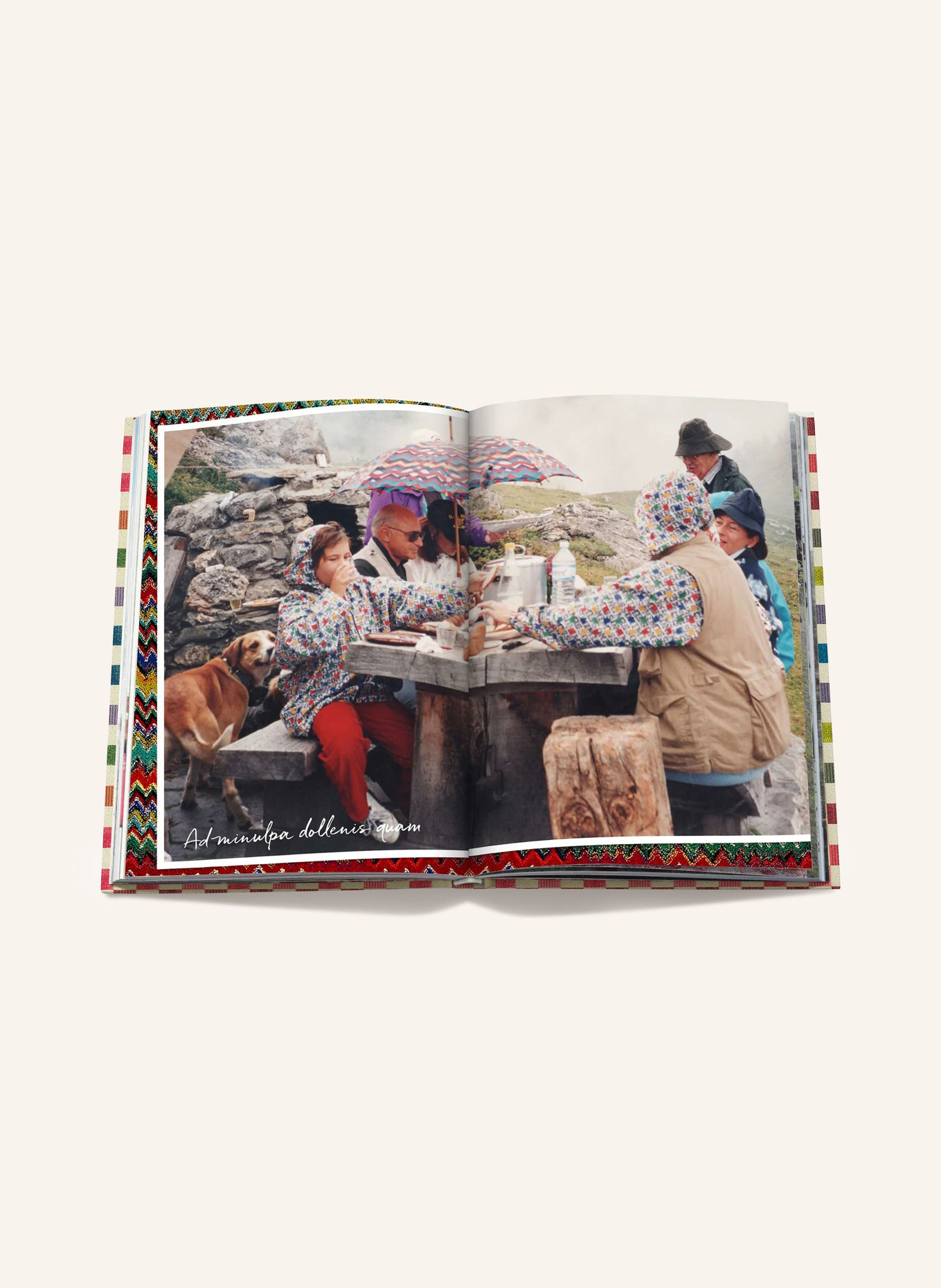ASSOULINE Book: THE MISSONI FAMILY COOKBOOK: BEIGE / RED / DARK BLUE