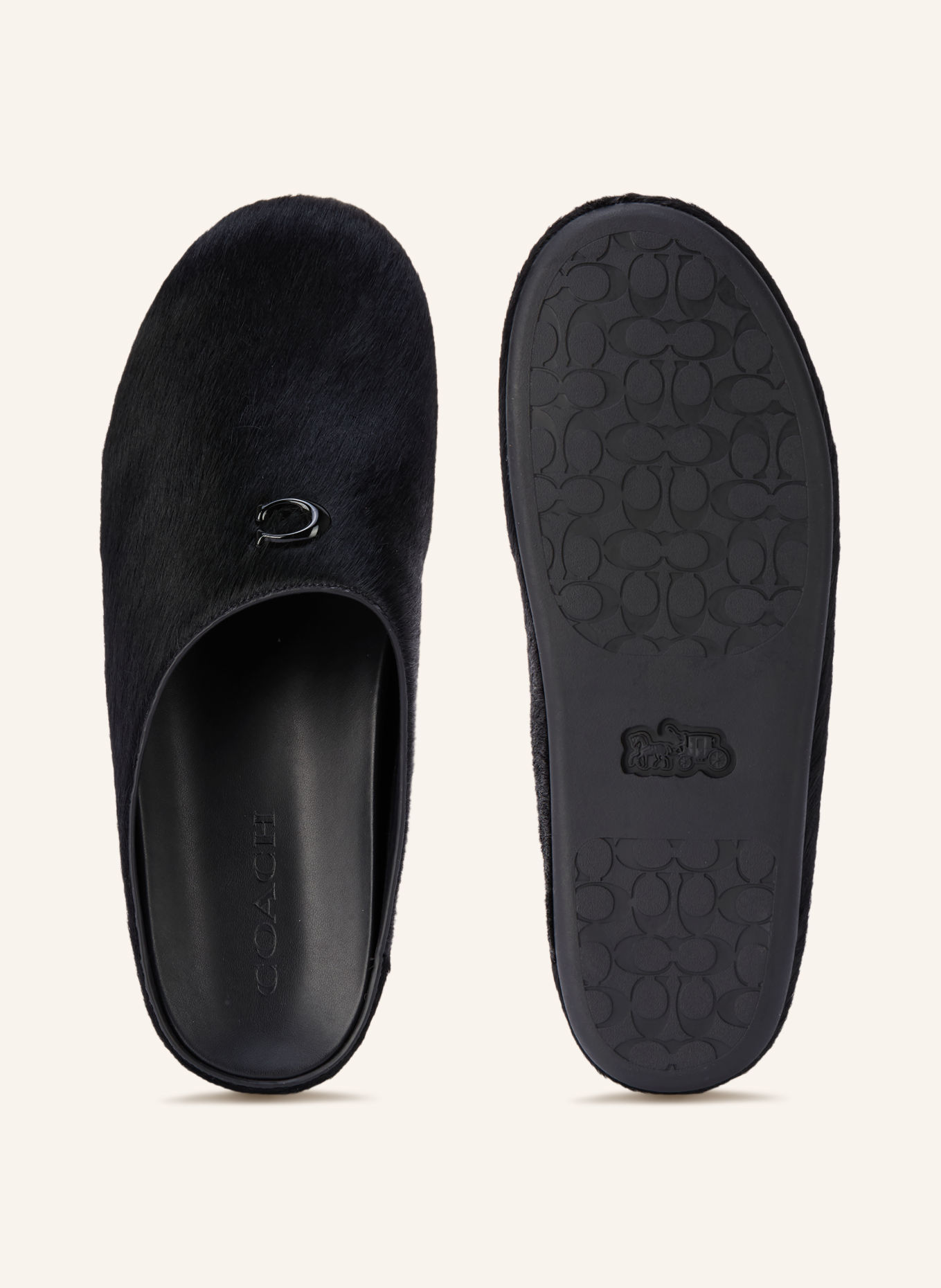 COACH Slides: BLACK
