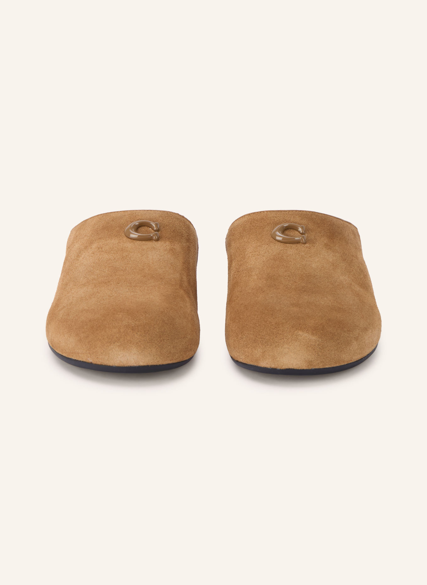 COACH Slides: CAMEL
