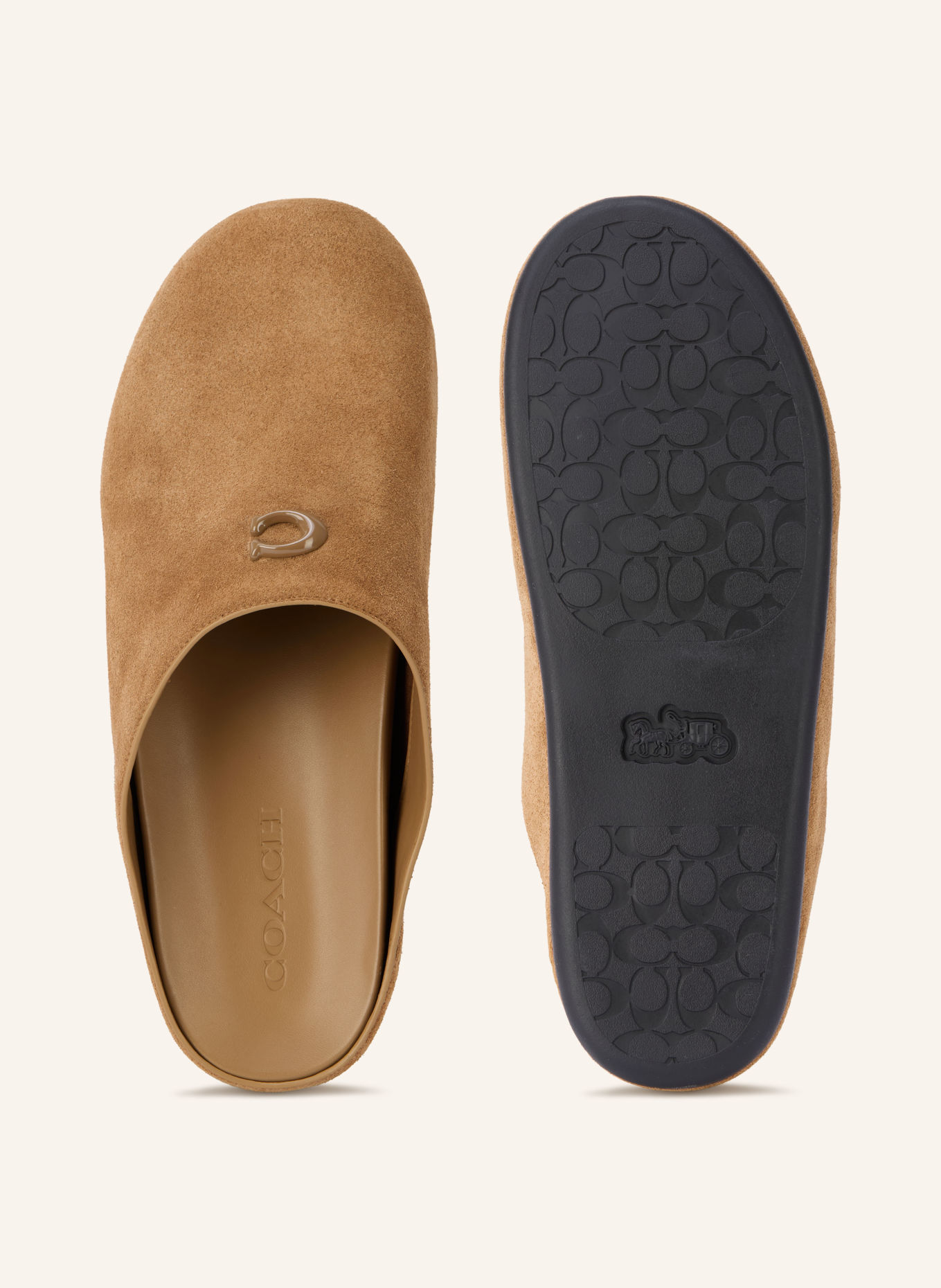 COACH Slides: CAMEL