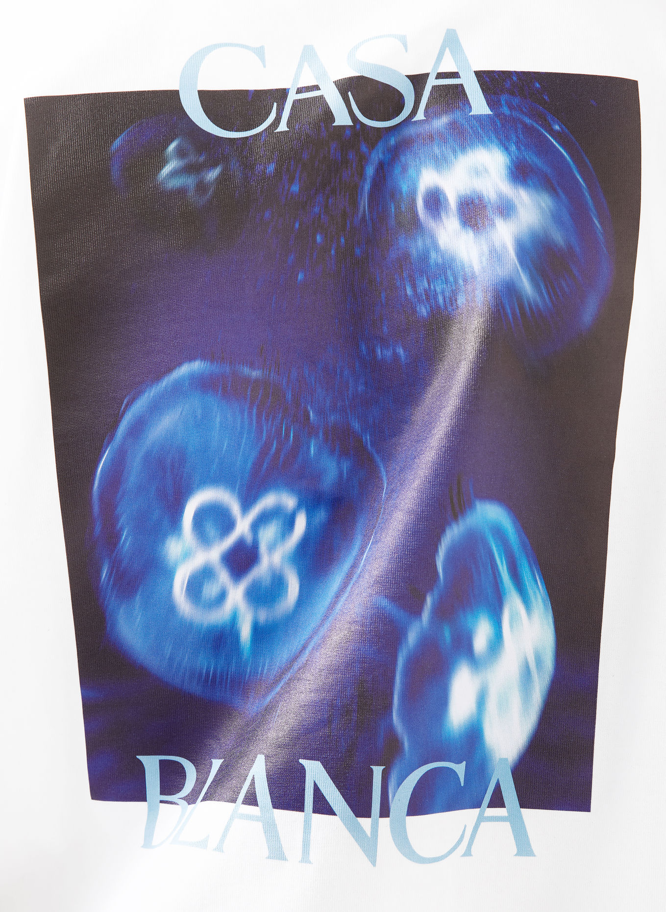 Casablanca T-shirt: BLANC / BLEU CLAIR / BLEU FONCÉ