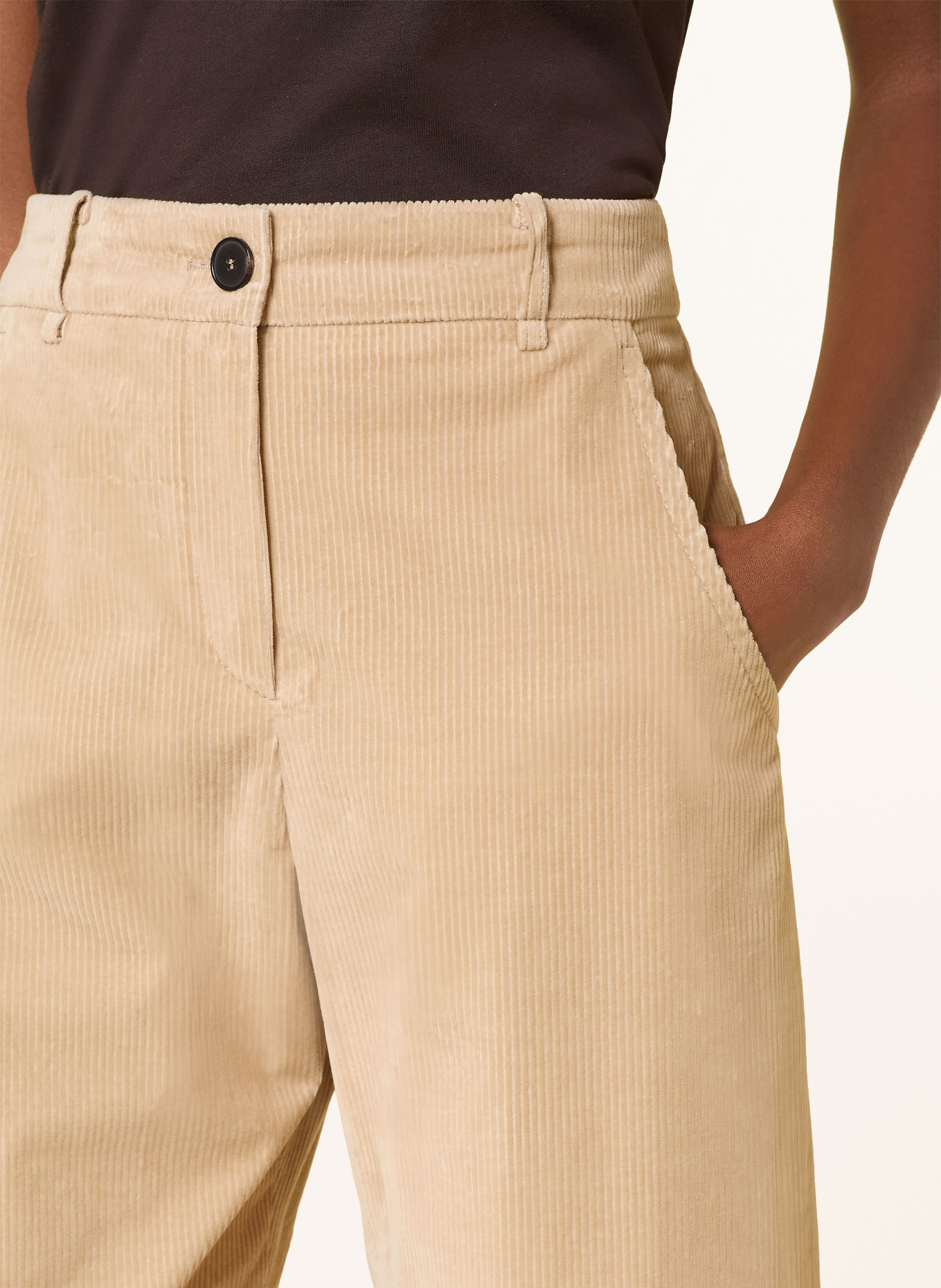 windsor. Pantalon en velours côtelé: CHAMEAU