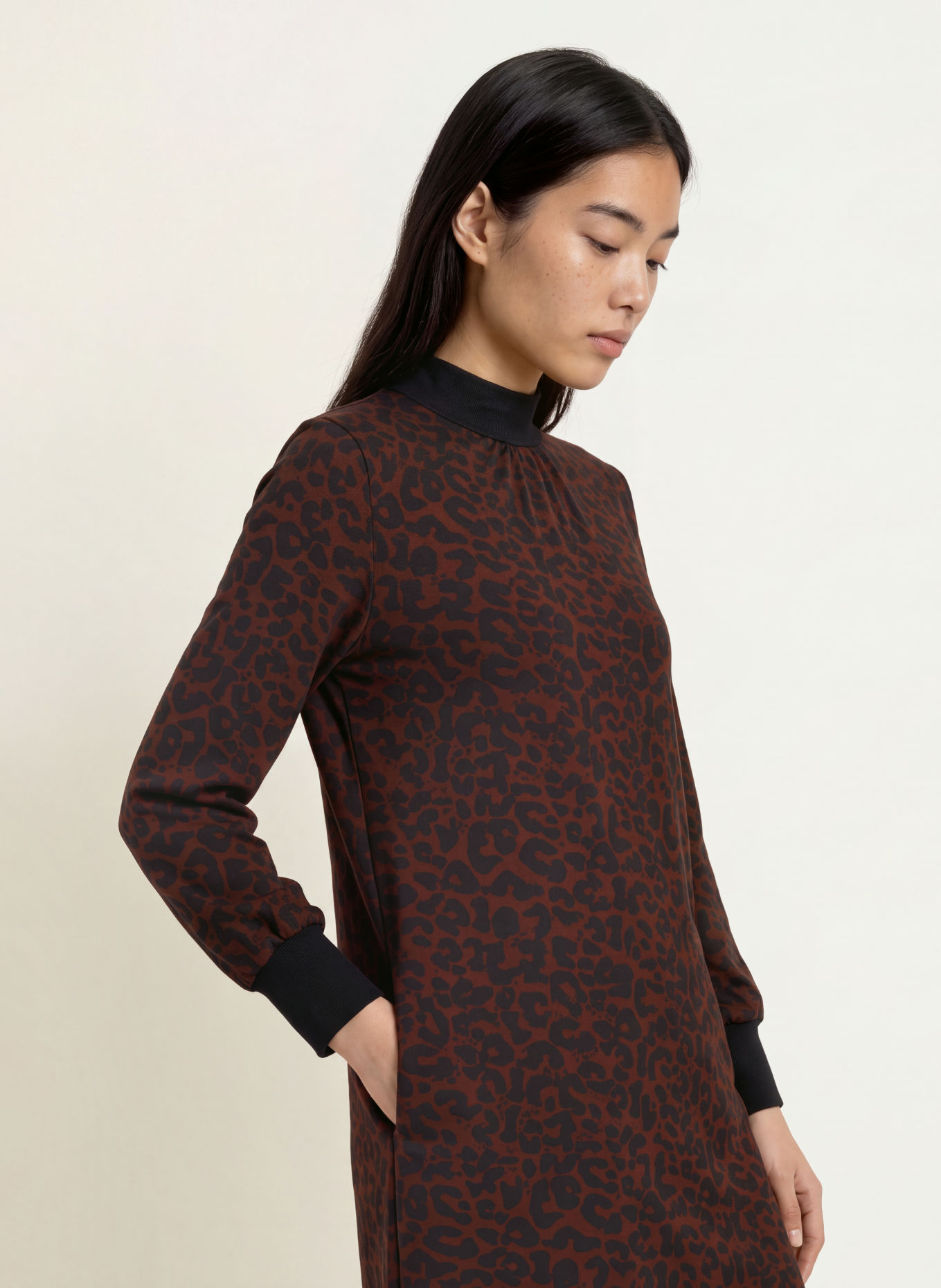 Miss Lagotte Kleid: BRAUN / SCHWARZ