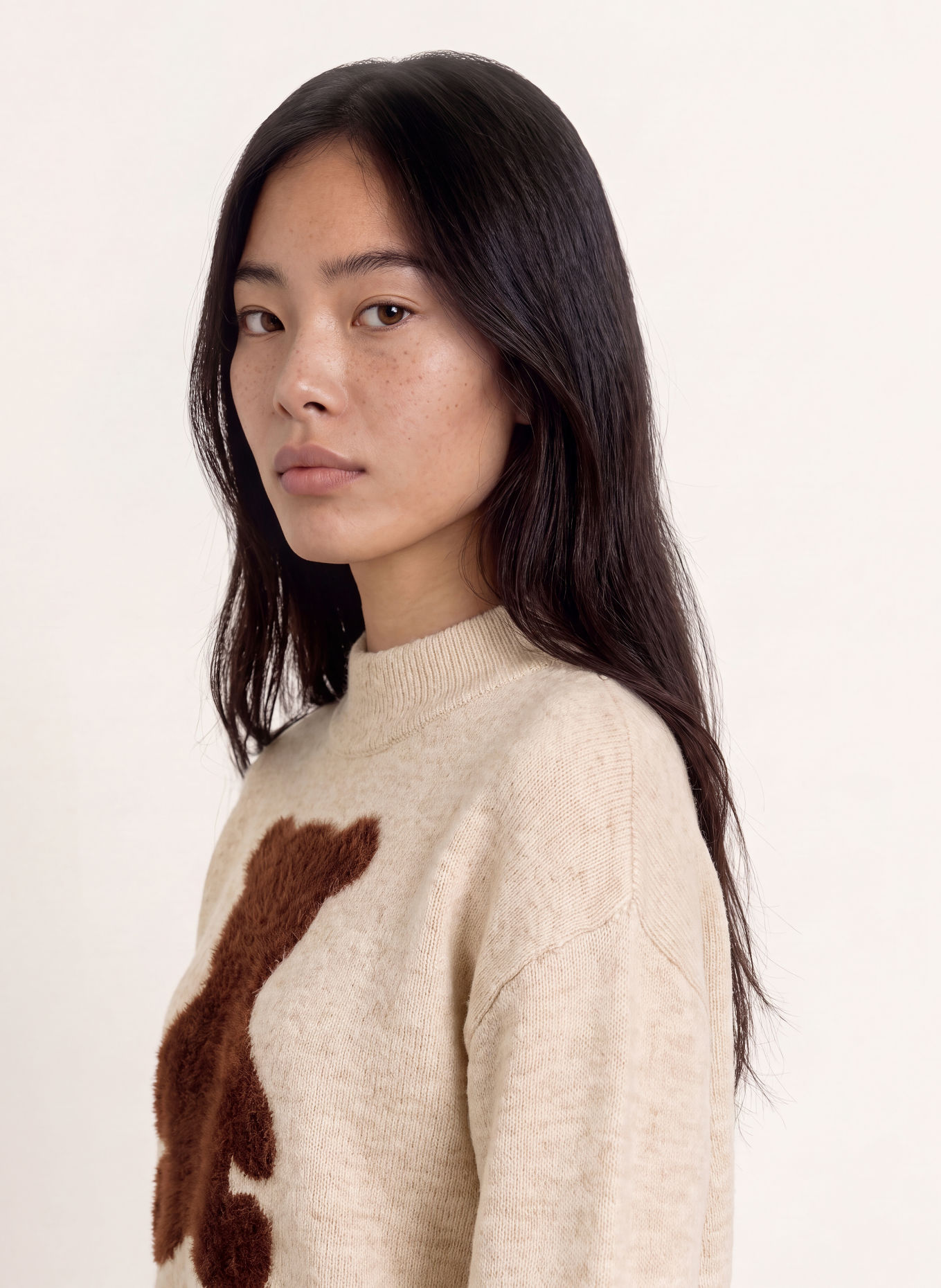 Miss Lagotte Pull: BEIGE / MARRON FONCÉ