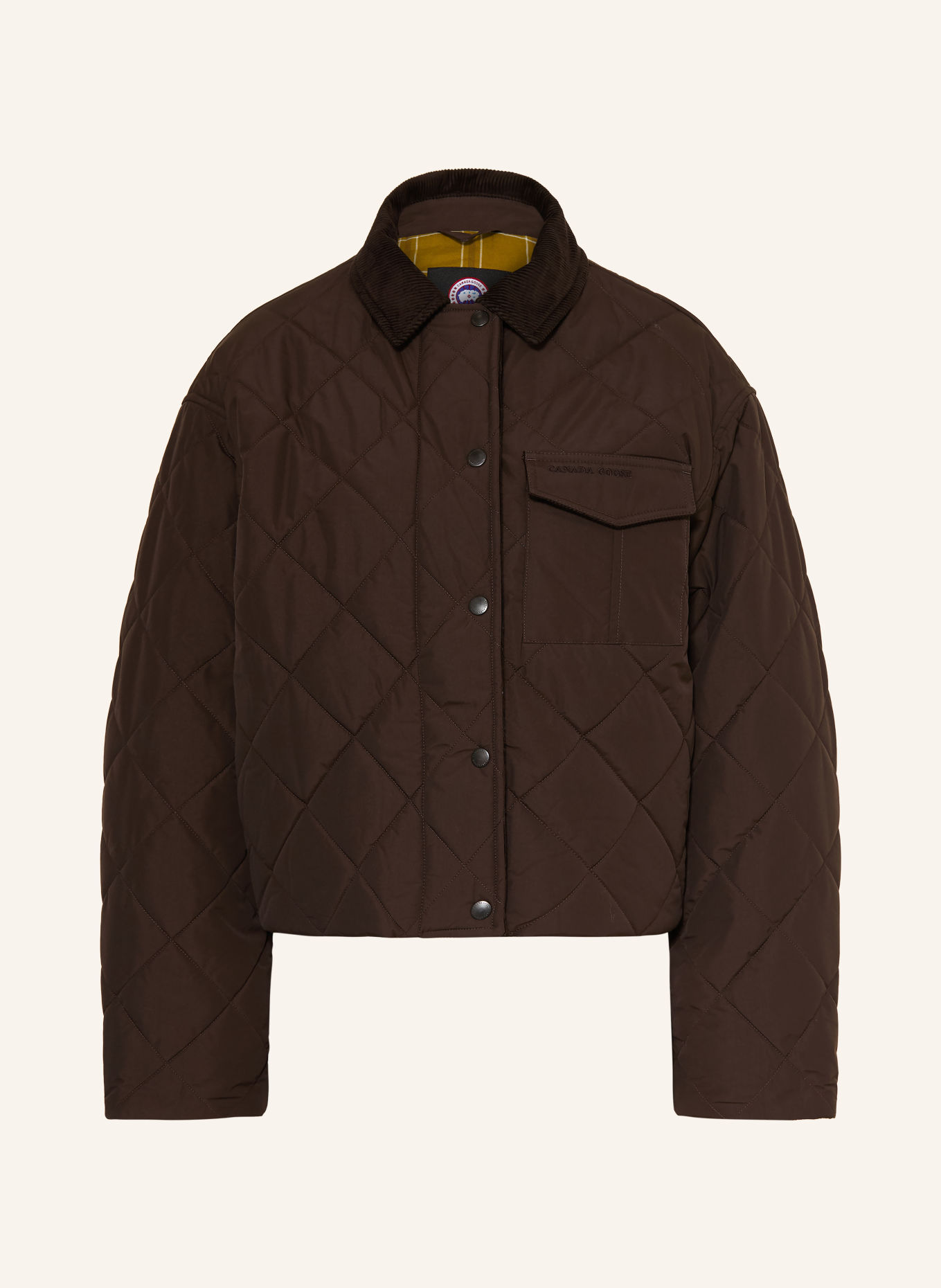 CANADA GOOSE Gewatteerde jas TERRA: MARRON FONCÉ