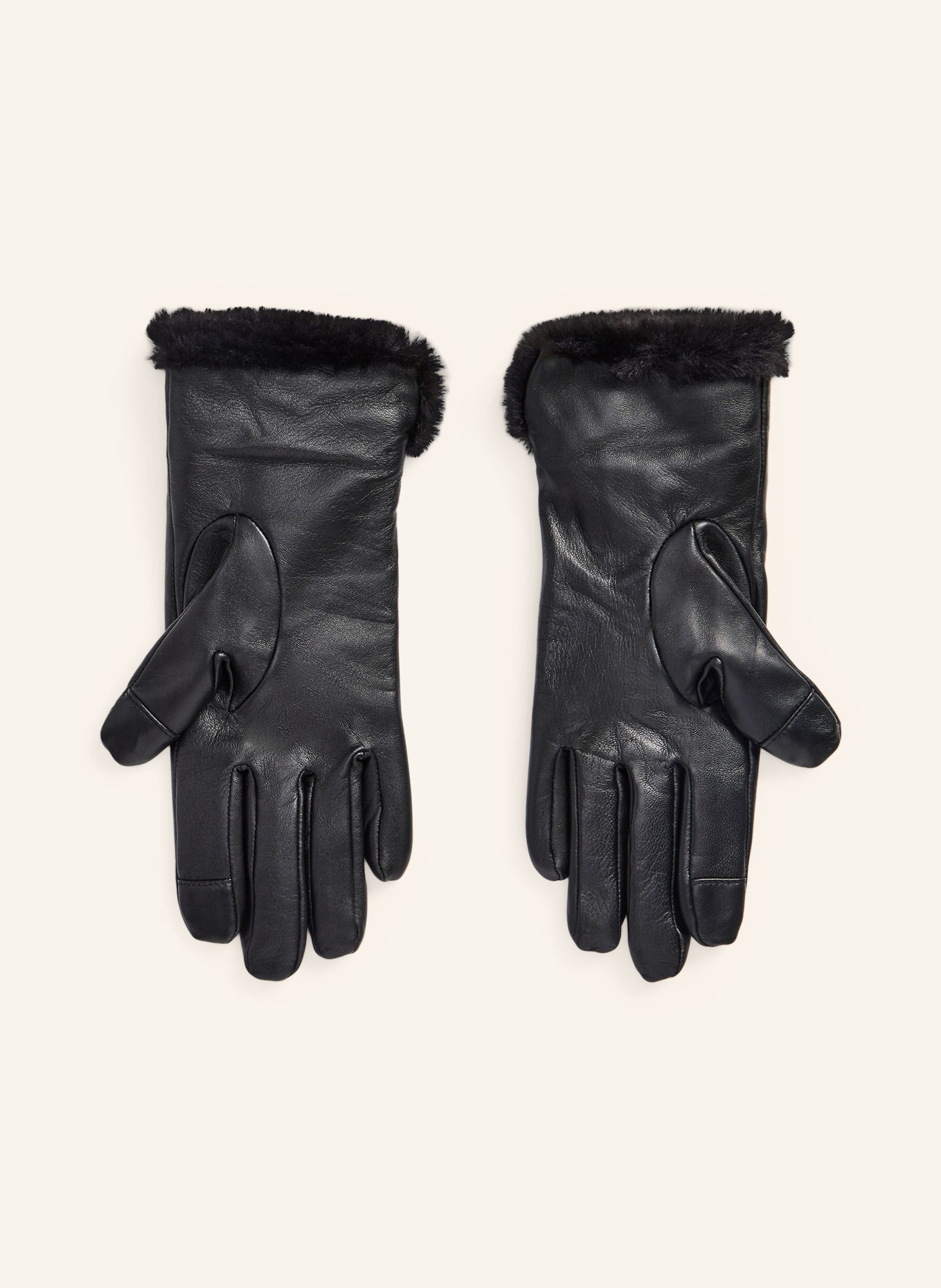 LAUREN RALPH LAUREN Lederhandschuhe: SCHWARZ
