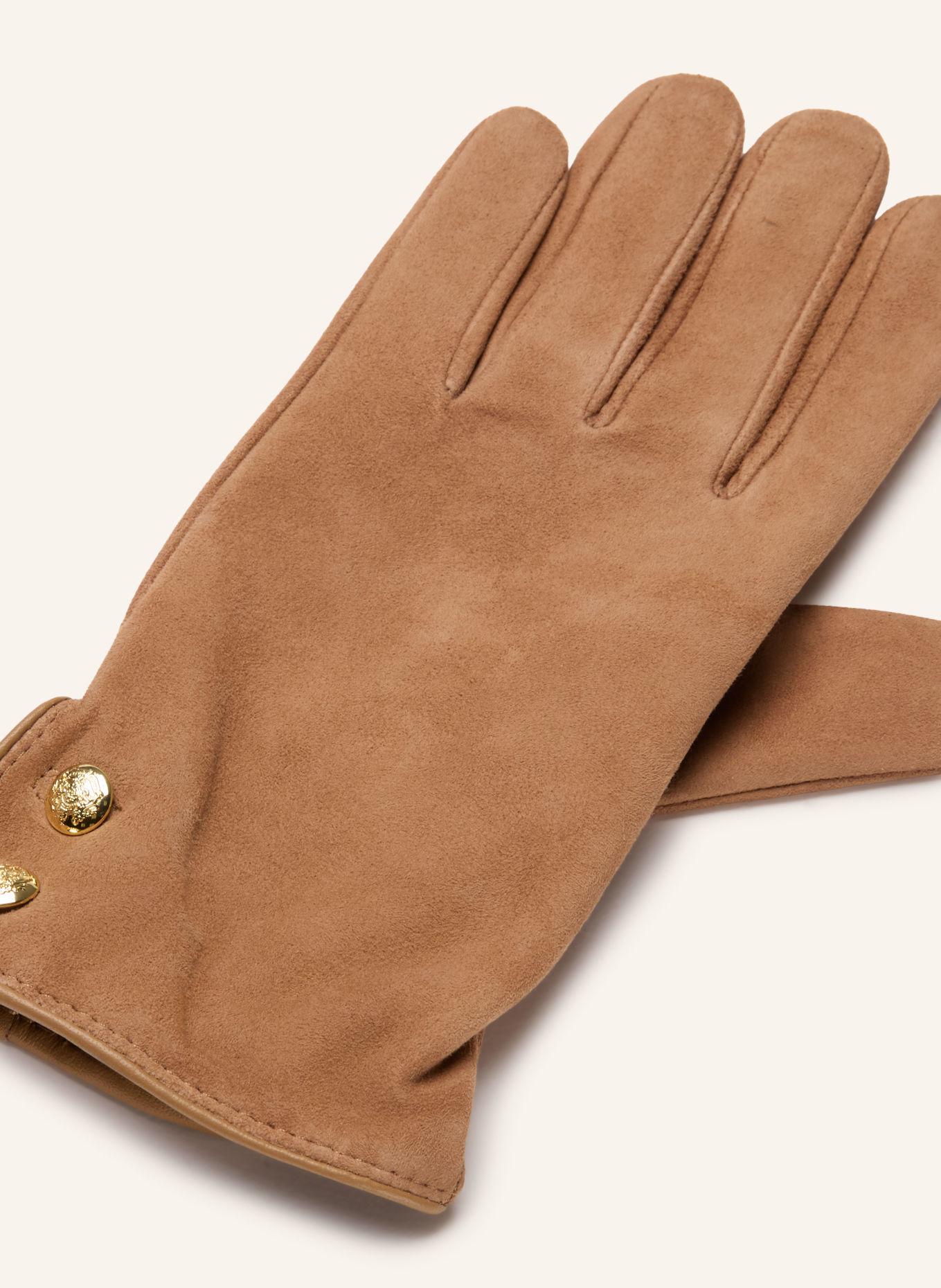 LAUREN RALPH LAUREN Lederhandschuhe: CAMEL