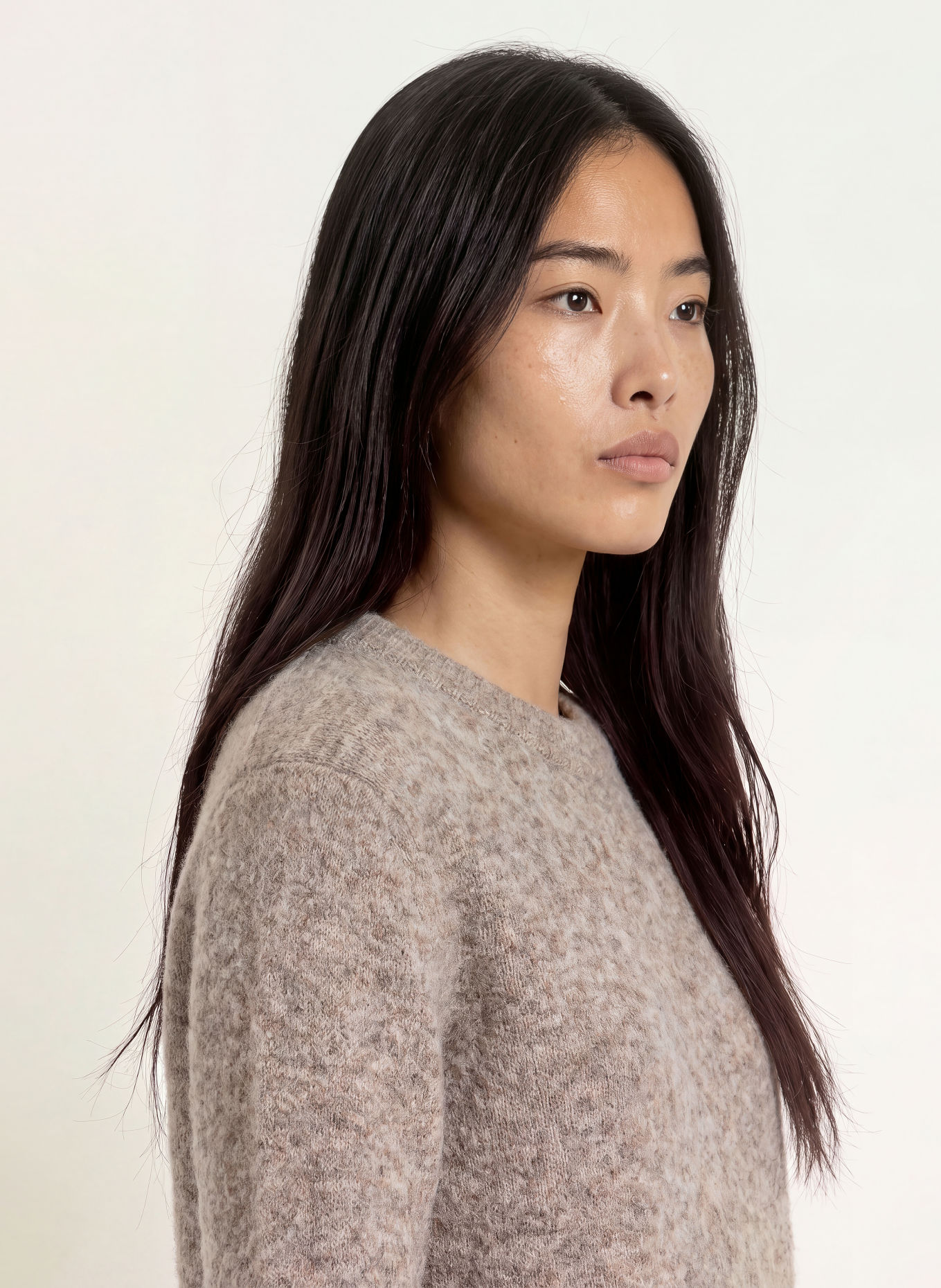 TIGER OF SWEDEN CLEO Sweater with Mohair: TAUPE