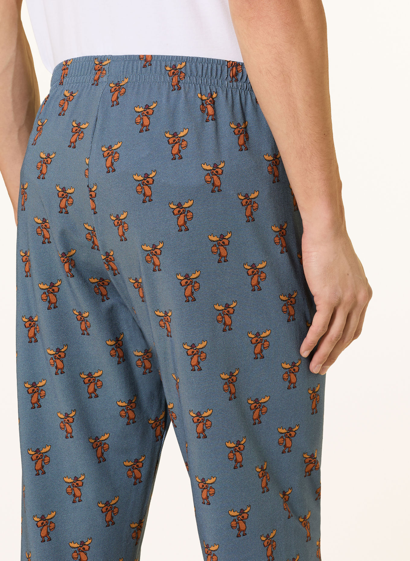 mey CENTRAL LAKE Series Pajama bottoms: BLUE / BROWN