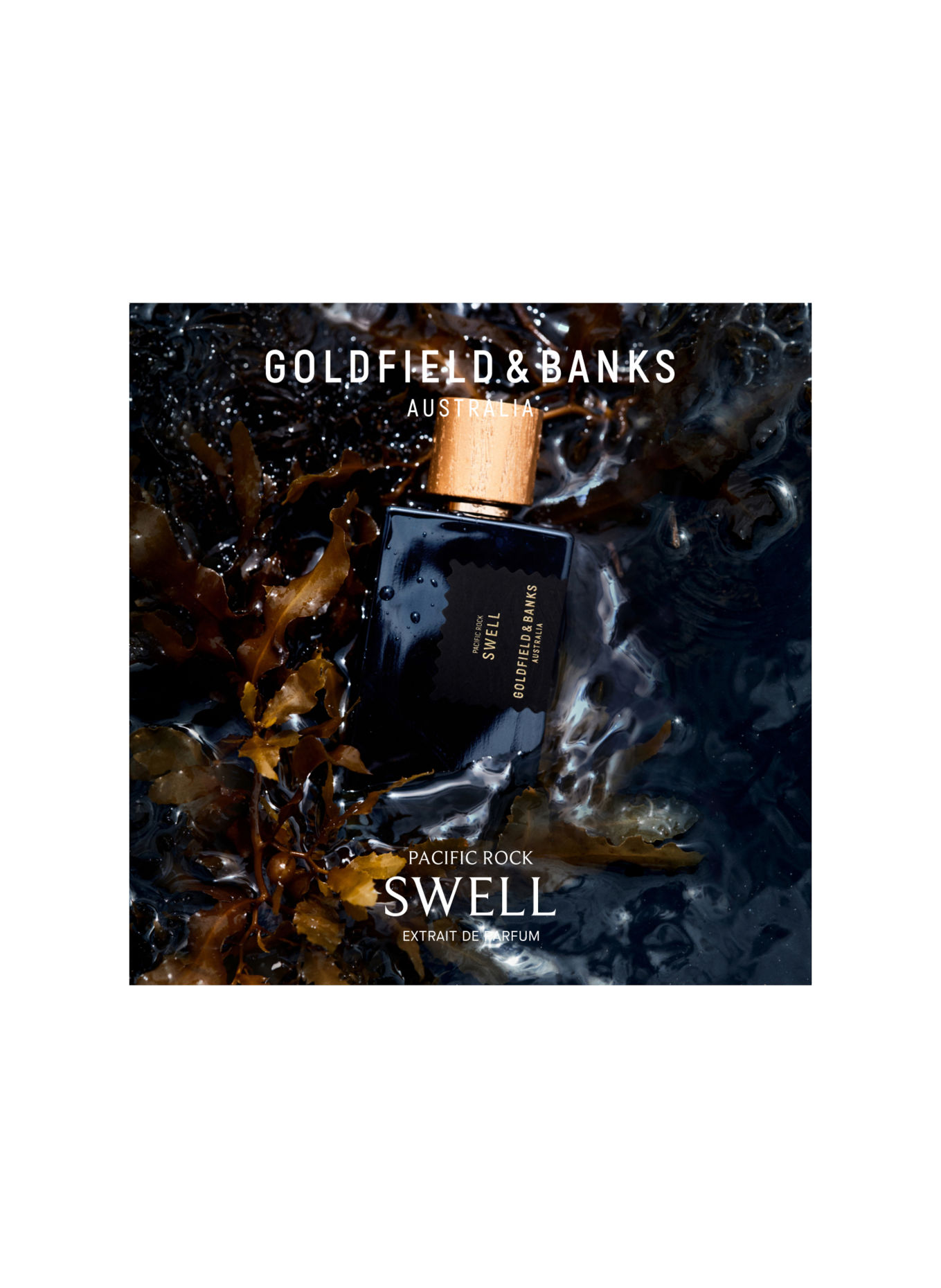 GOLDFIELD & BANKS PACIFIC ROCK SWELL