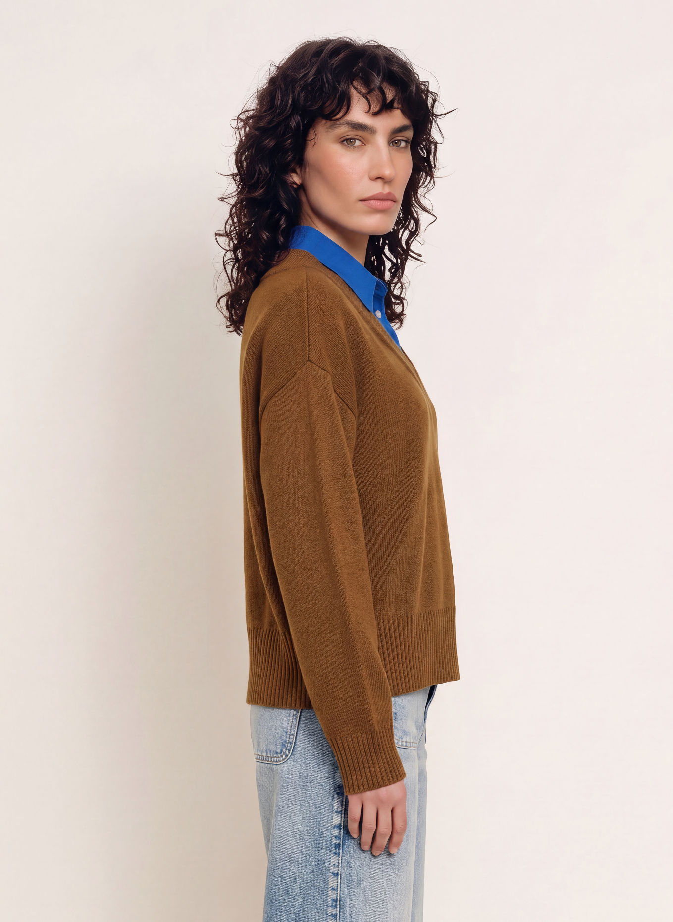 SANDRO Pullover: BRAUN / BLAU