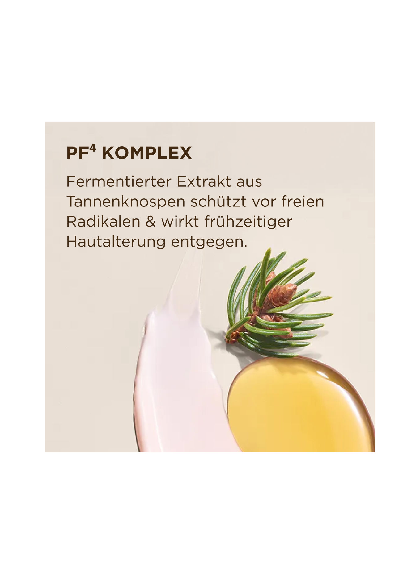 ANNEMARIE BÖRLIND NATUNEO FIRMING POWER DUO