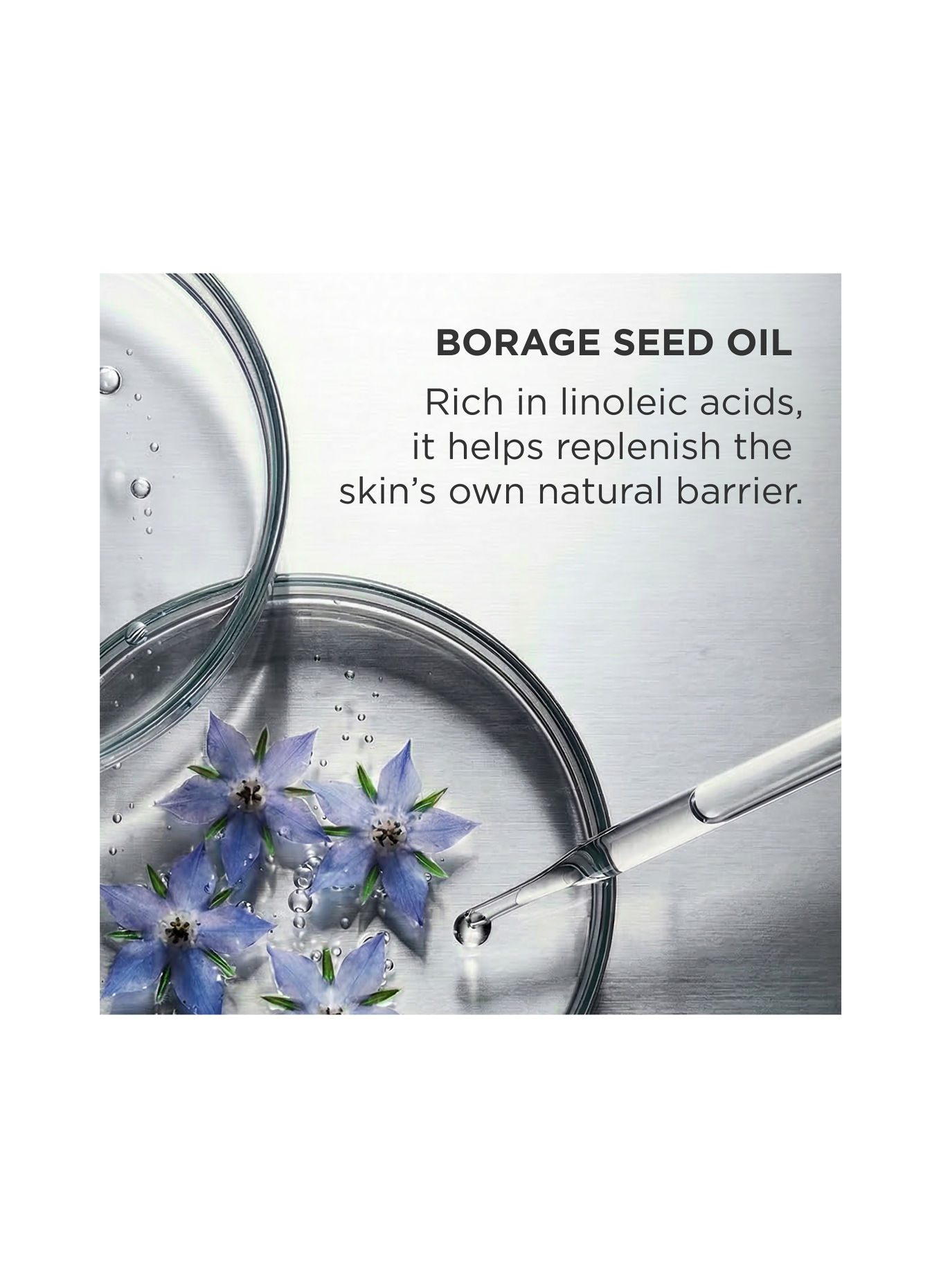 ANNEMARIE BÖRLIND INTENSIVE CARE CAPSULES
