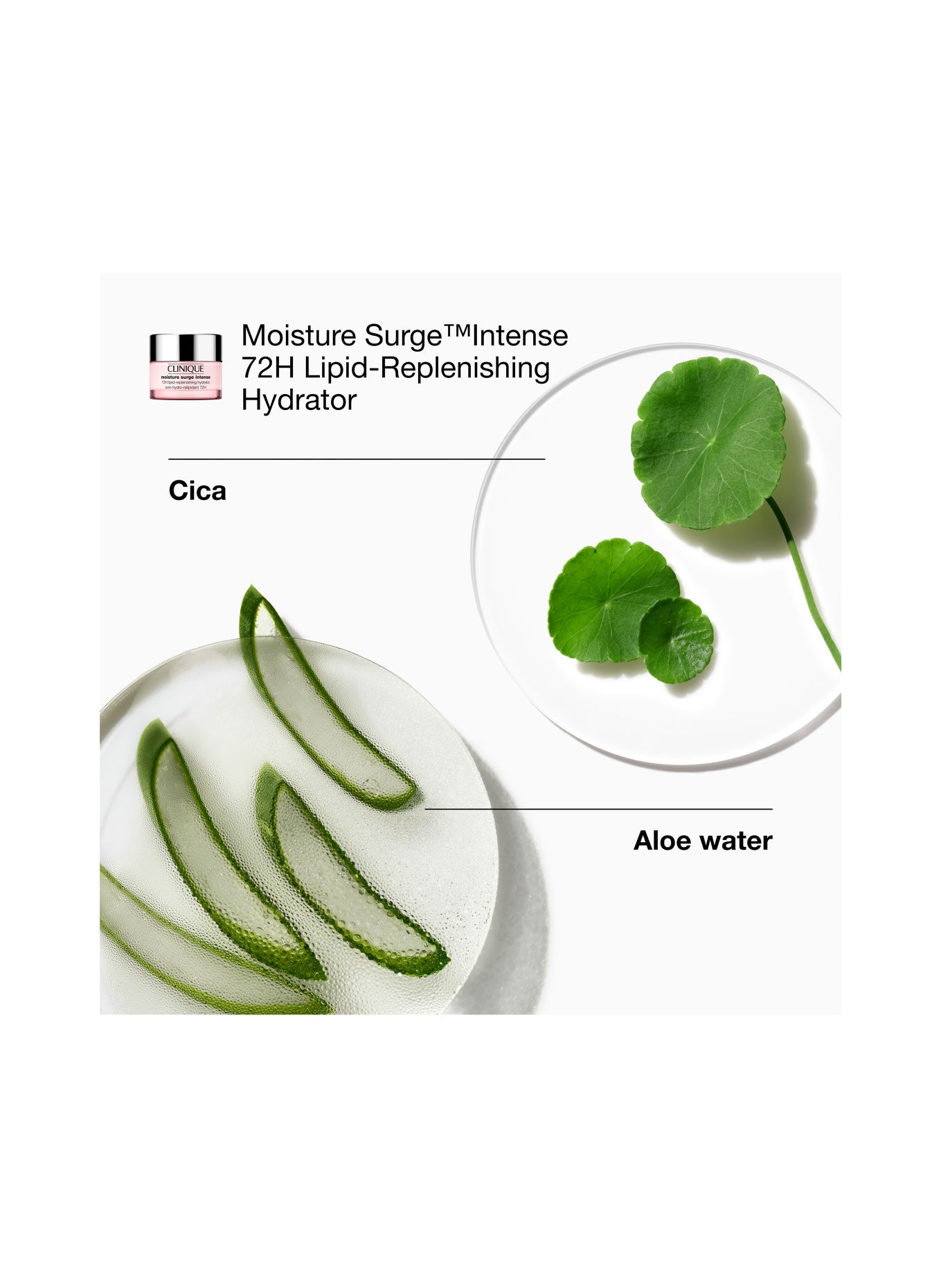 CLINIQUE ALL-OVER-HYDRATION