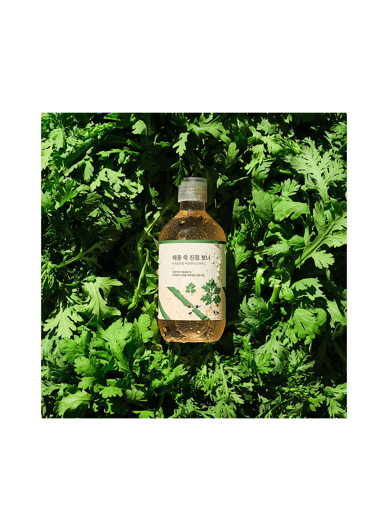 ROUND LAB MUGWORT CALMING TONER