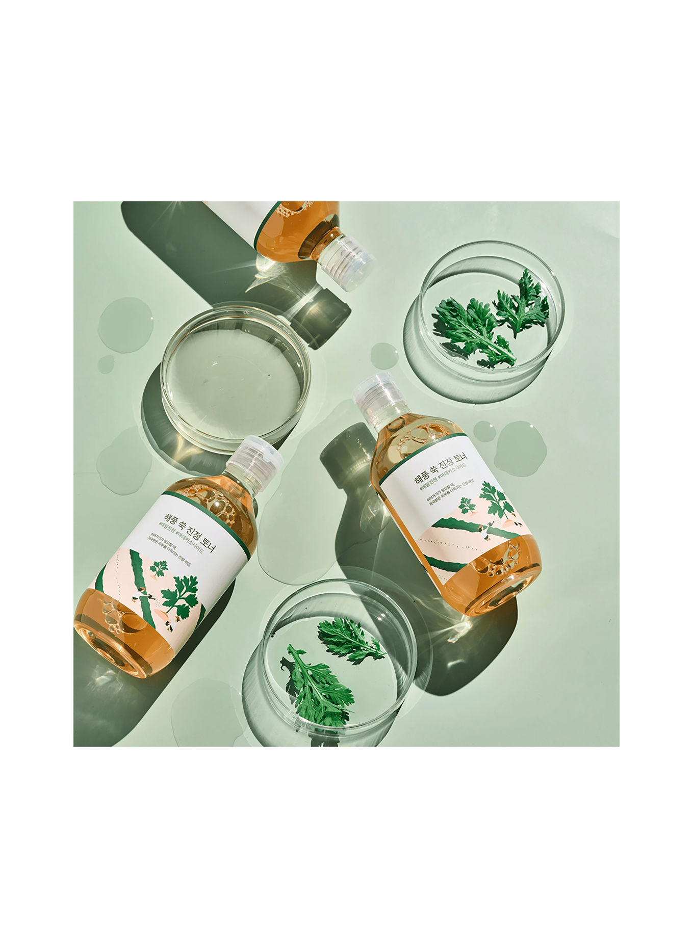 ROUND LAB MUGWORT CALMING TONER
