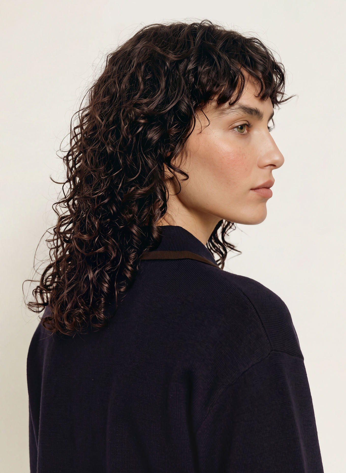 SANDRO Pullover: DUNKELBLAU / DUNKELBRAUN