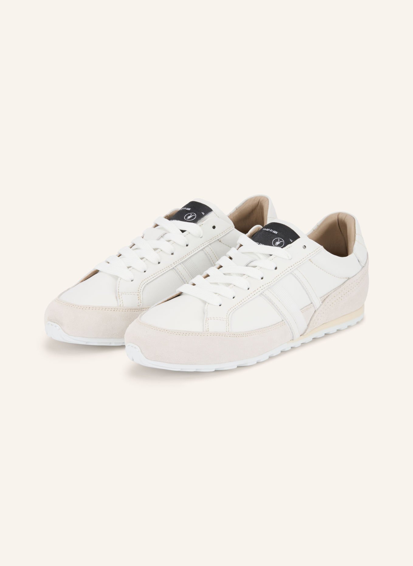 ALLSAINTS LIAM Sneakers: WHITE / CREAM