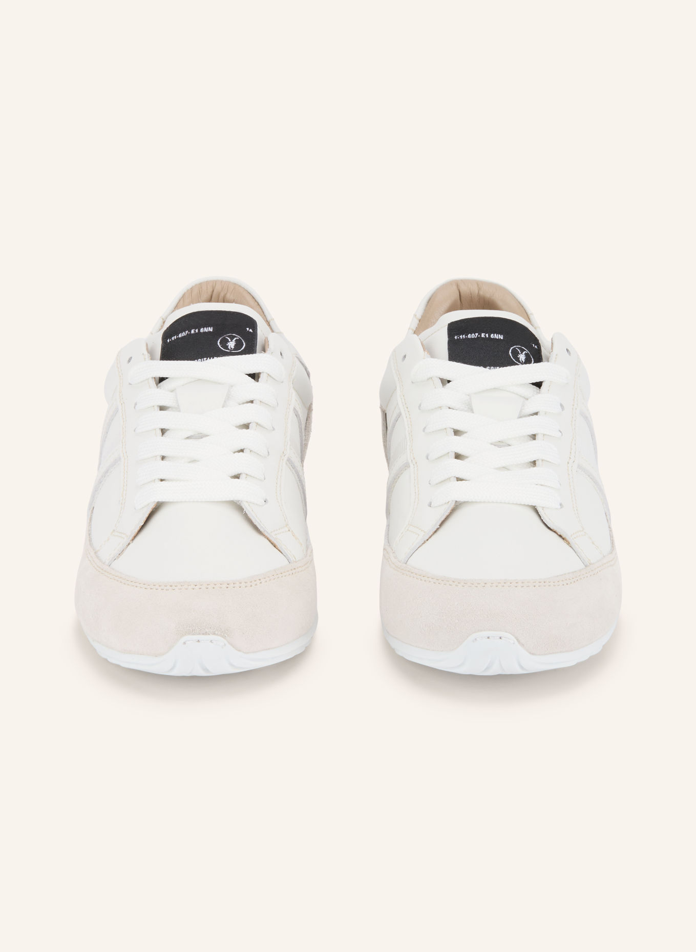 ALLSAINTS LIAM Sneakers: WHITE / CREAM