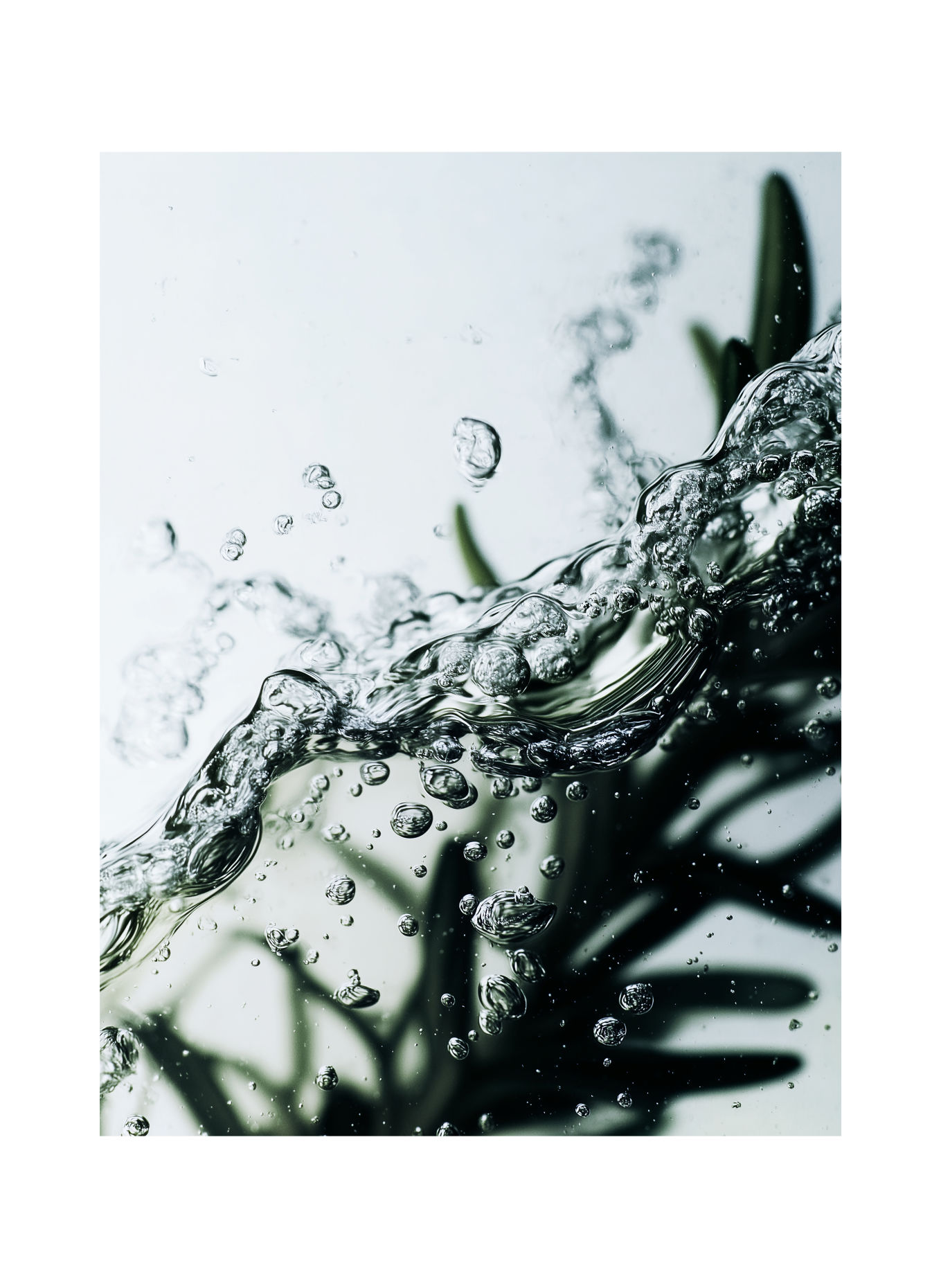 27 87 Perfumes 2021 - GIN MARE