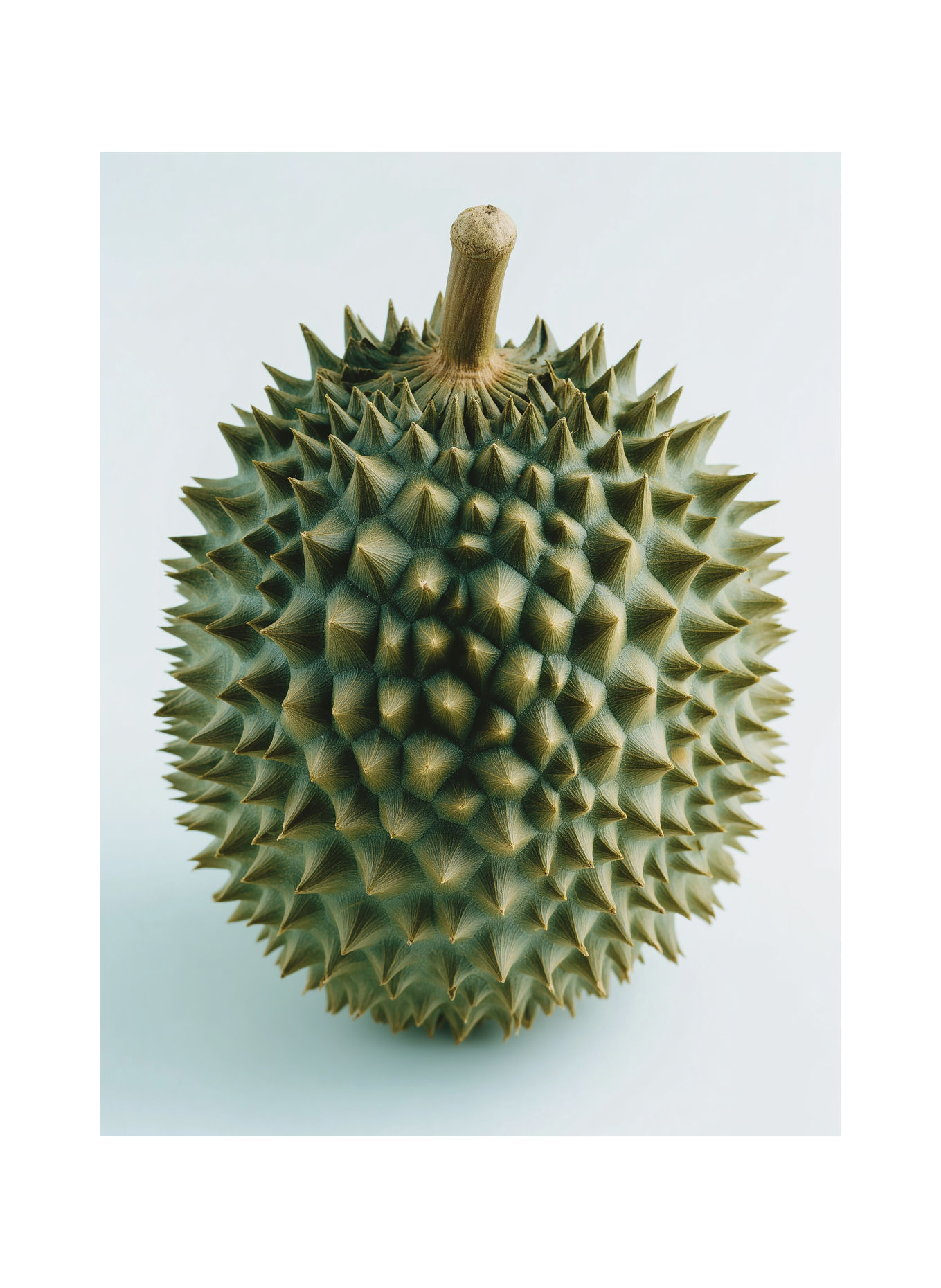 27 87 Perfumes 2024 - DURIAN