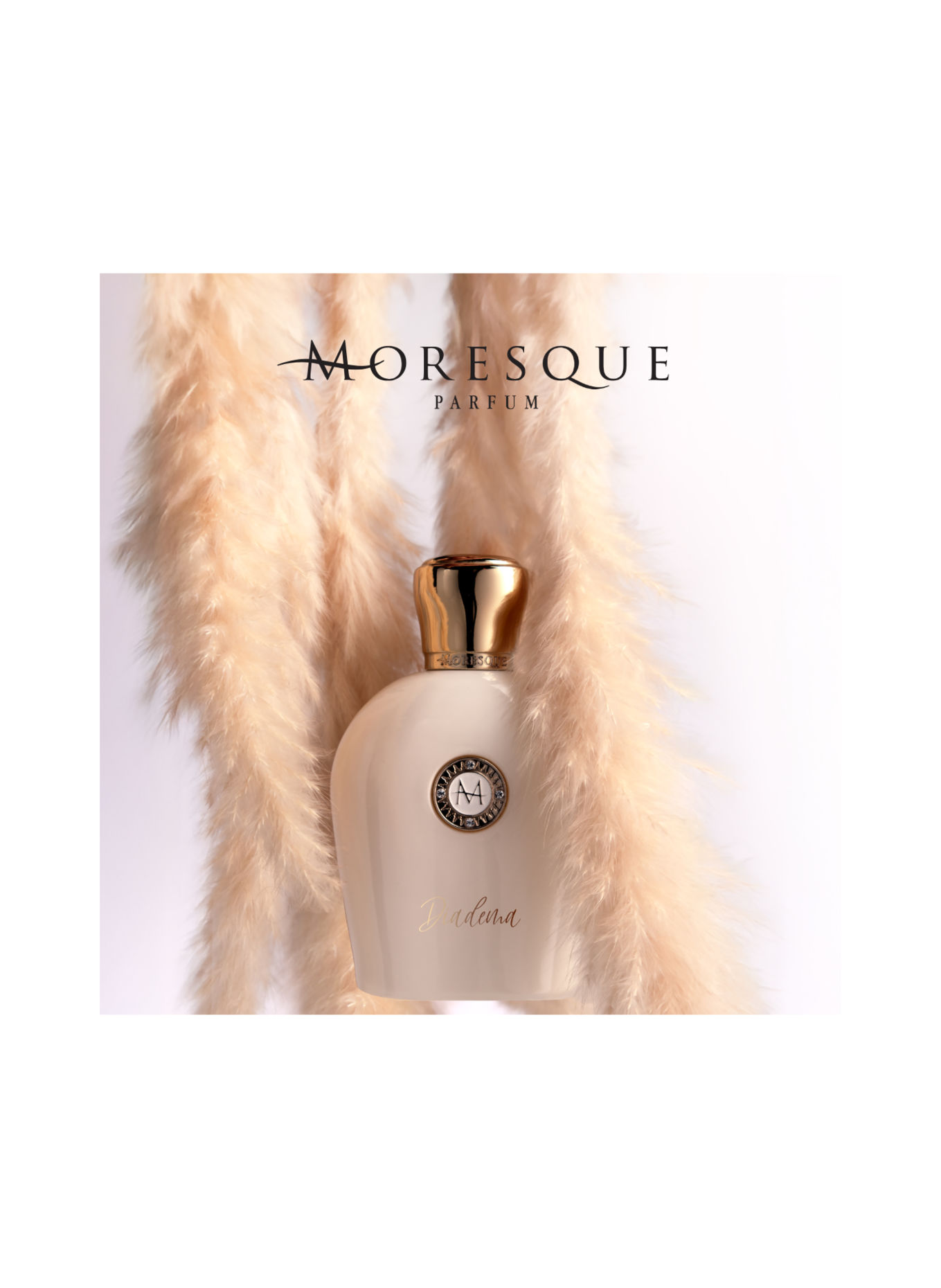 MORESQUE DIADEMA