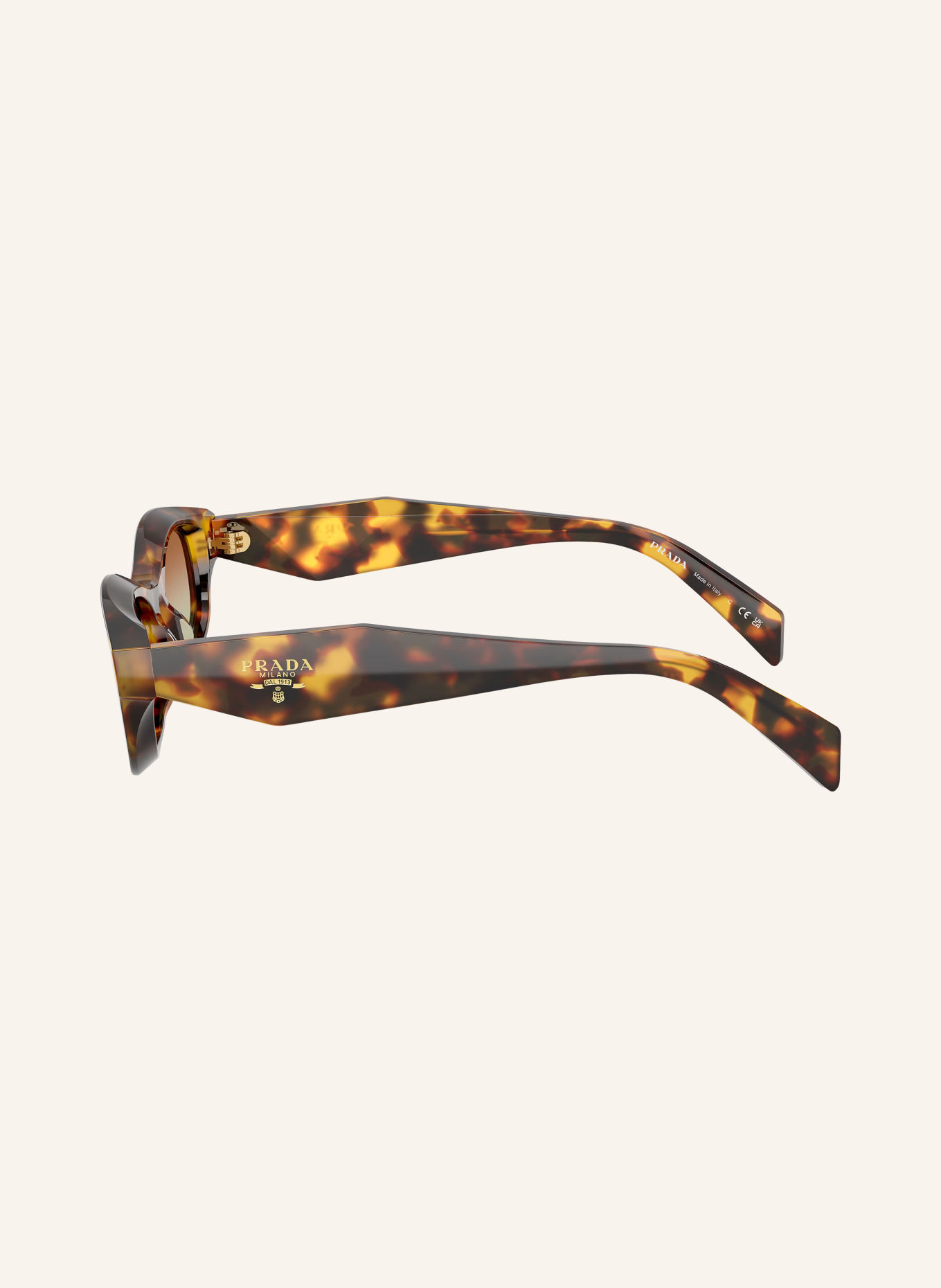PRADA PR D24S Sunglasses: HONEY TORTOISE/GREEN BROWN