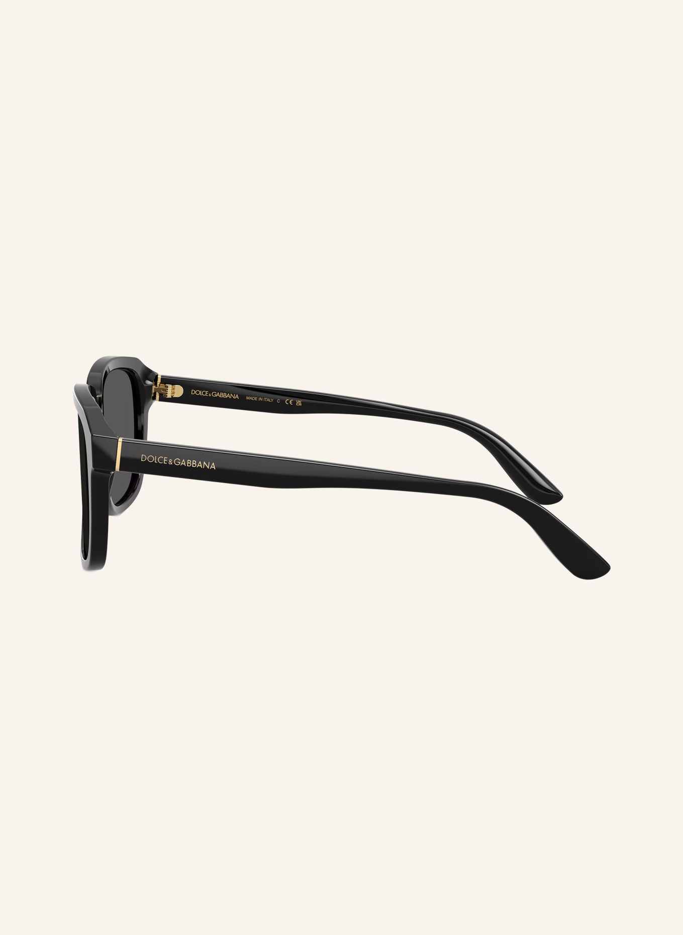 DOLCE & GABBANA Sunglasses DG4566: BLACK/ DARK GRAY