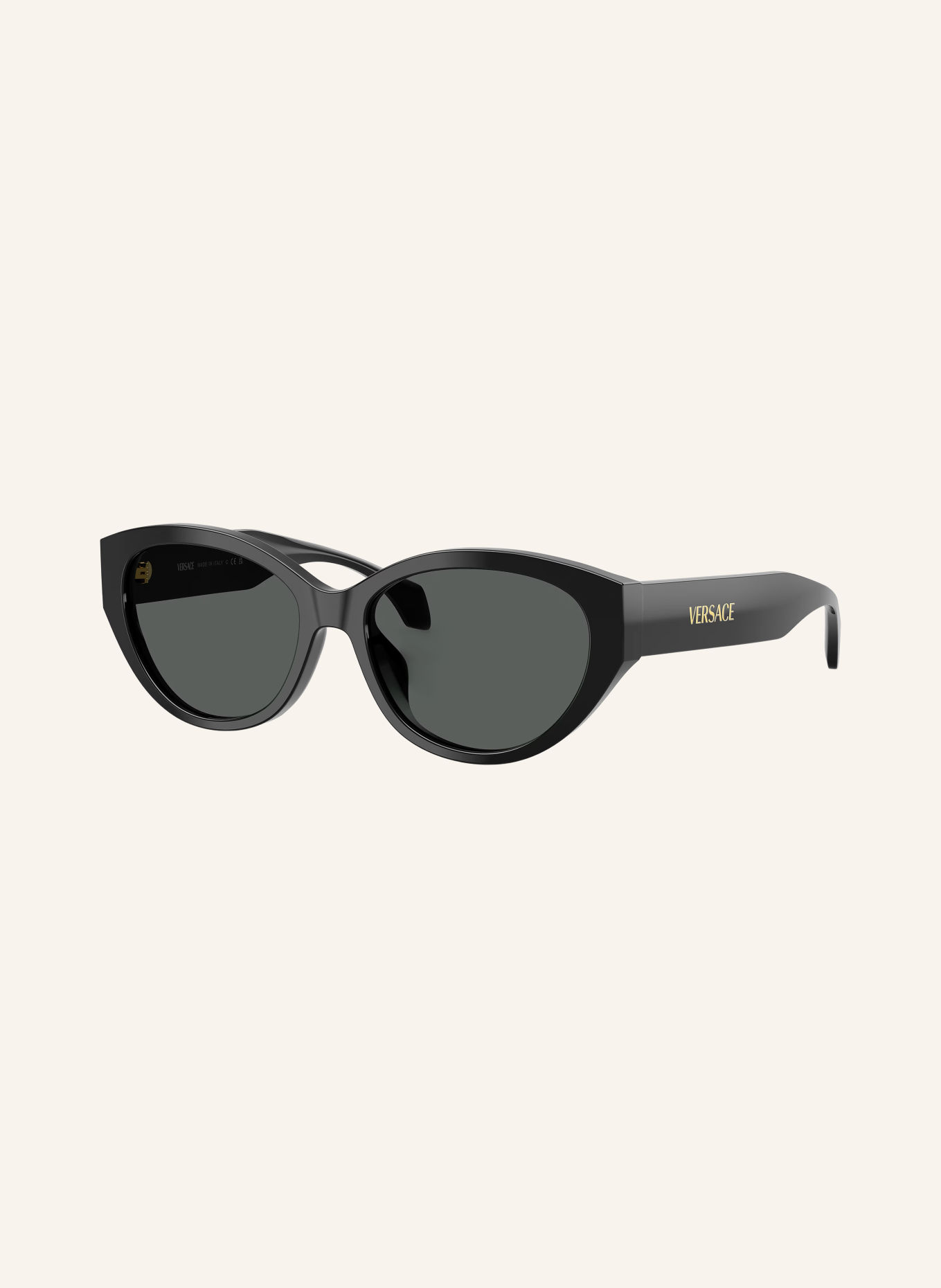 VERSACE Sonnenbrille VE4495D: SCHWARZ/ DUNKELGRAU