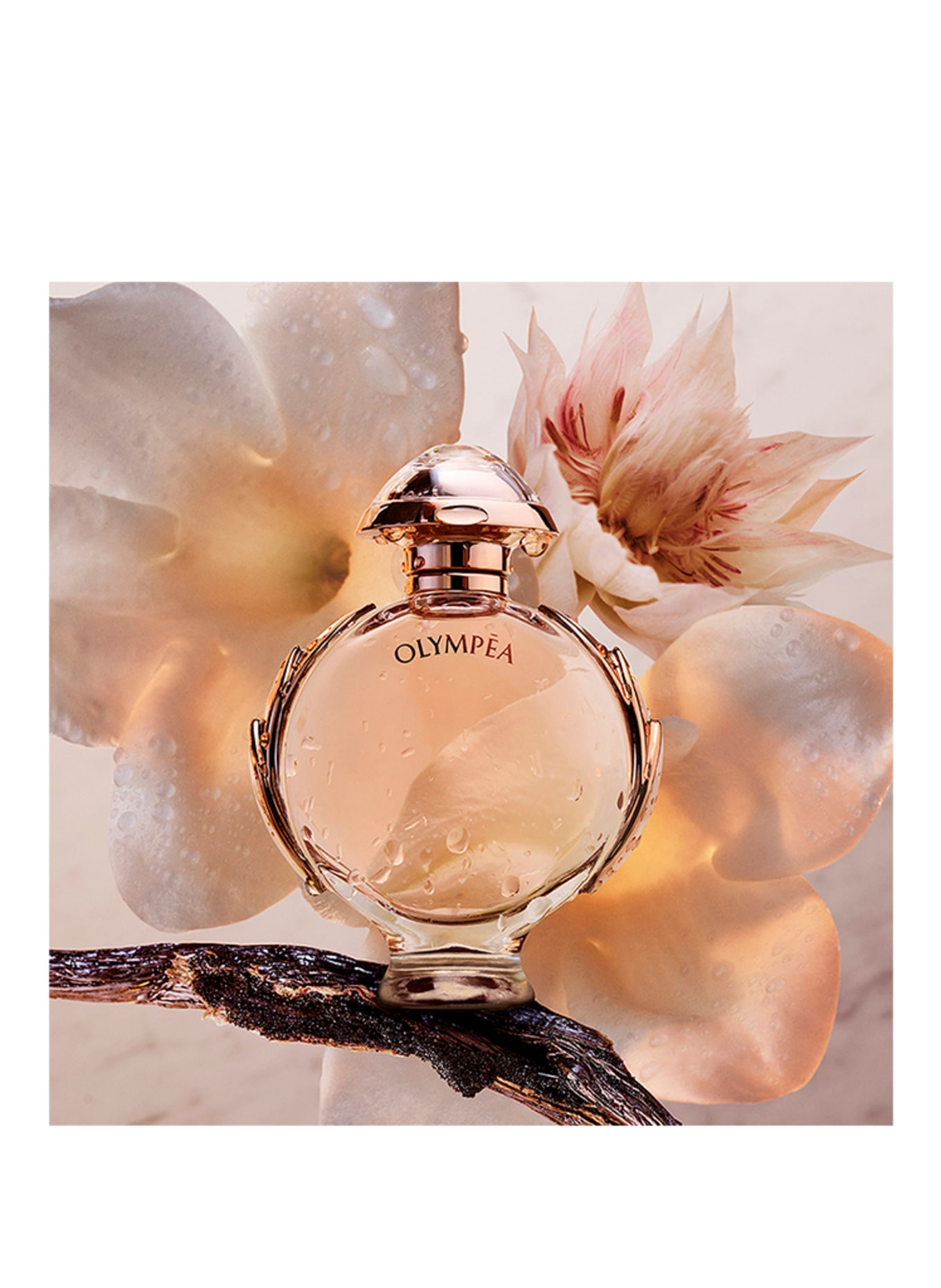 rabanne Fragrances OLYMPÉA (Bild 3)