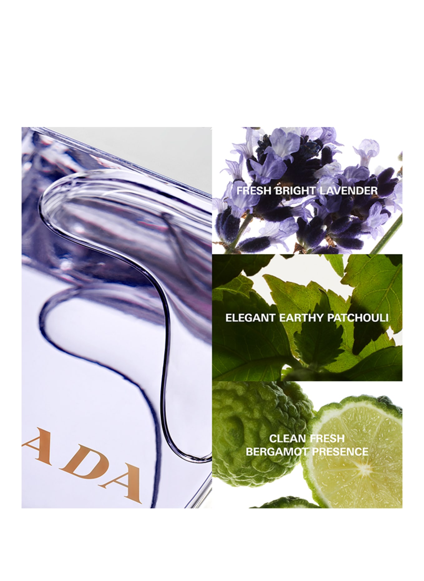 PRADA Parfums PRADA POUR HOMME