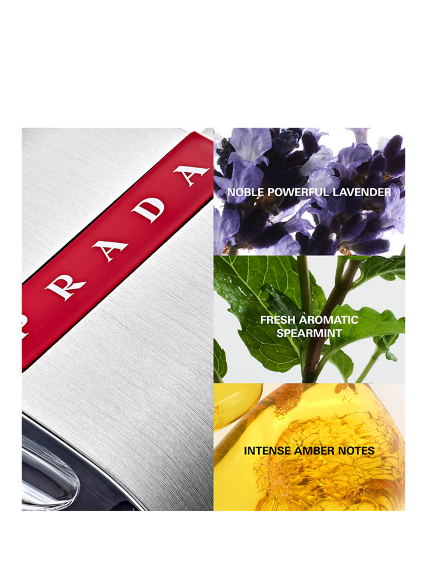 PRADA Parfums LUNA ROSSA