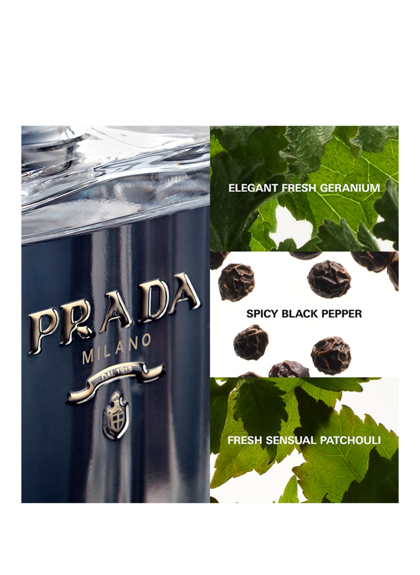 PRADA Parfums L'HOMME (Bild 3)