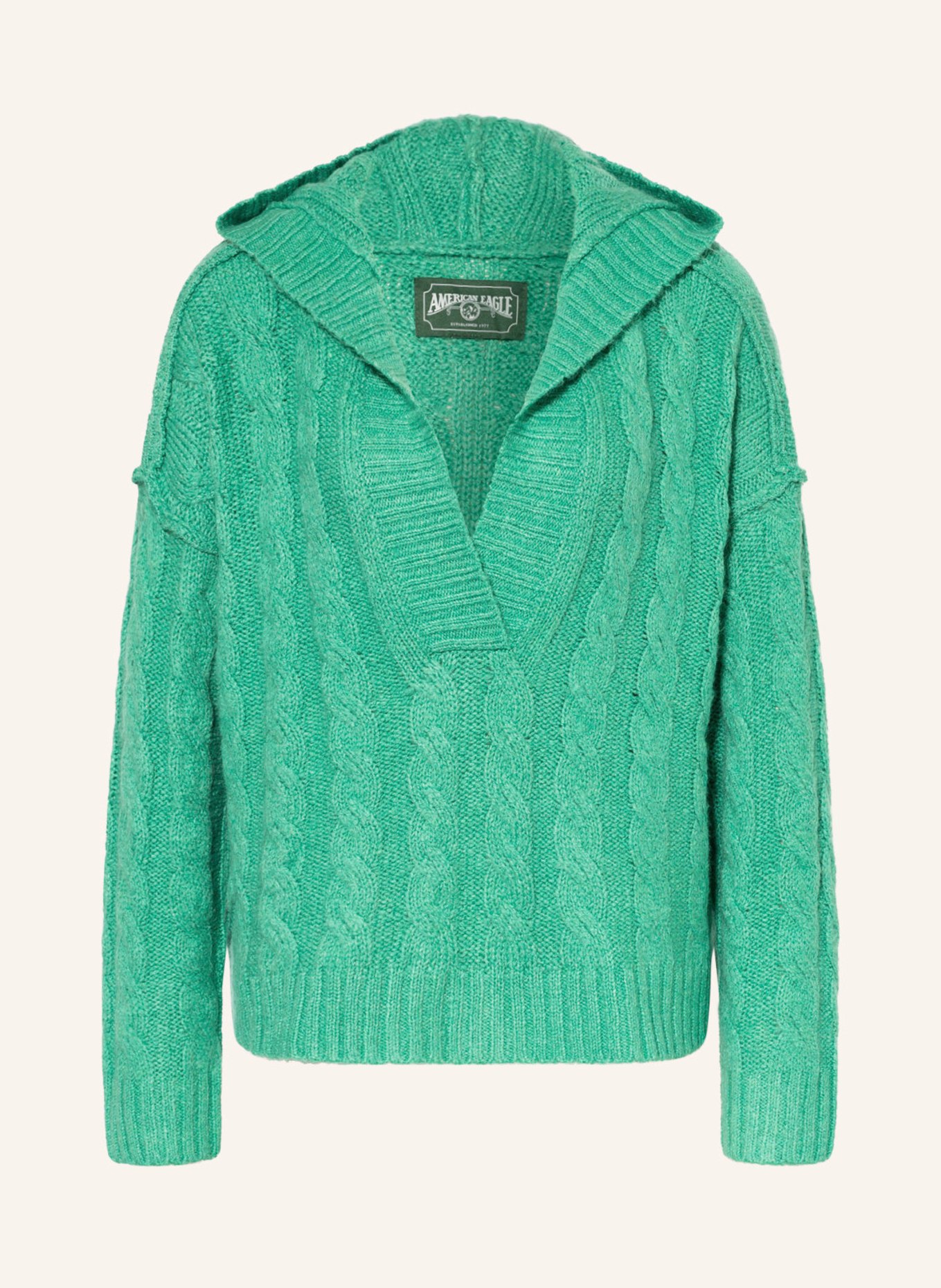 American eagle shop knit hoodie