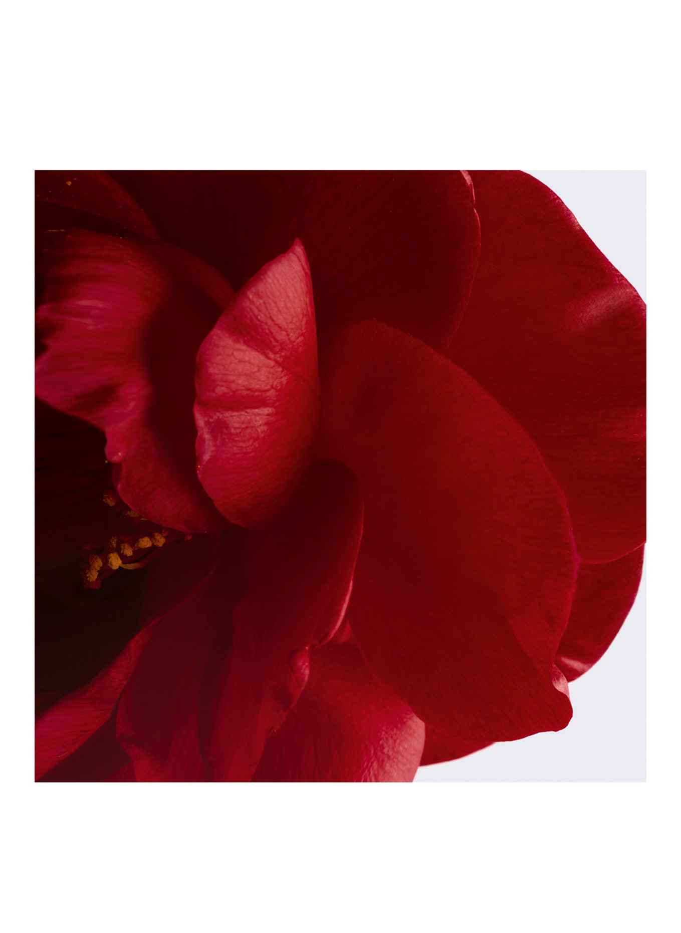 CHANEL N°1 DE CHANEL BALSAM FÜR LIPPEN UND WANGEN: 2 HEALTHY PINK