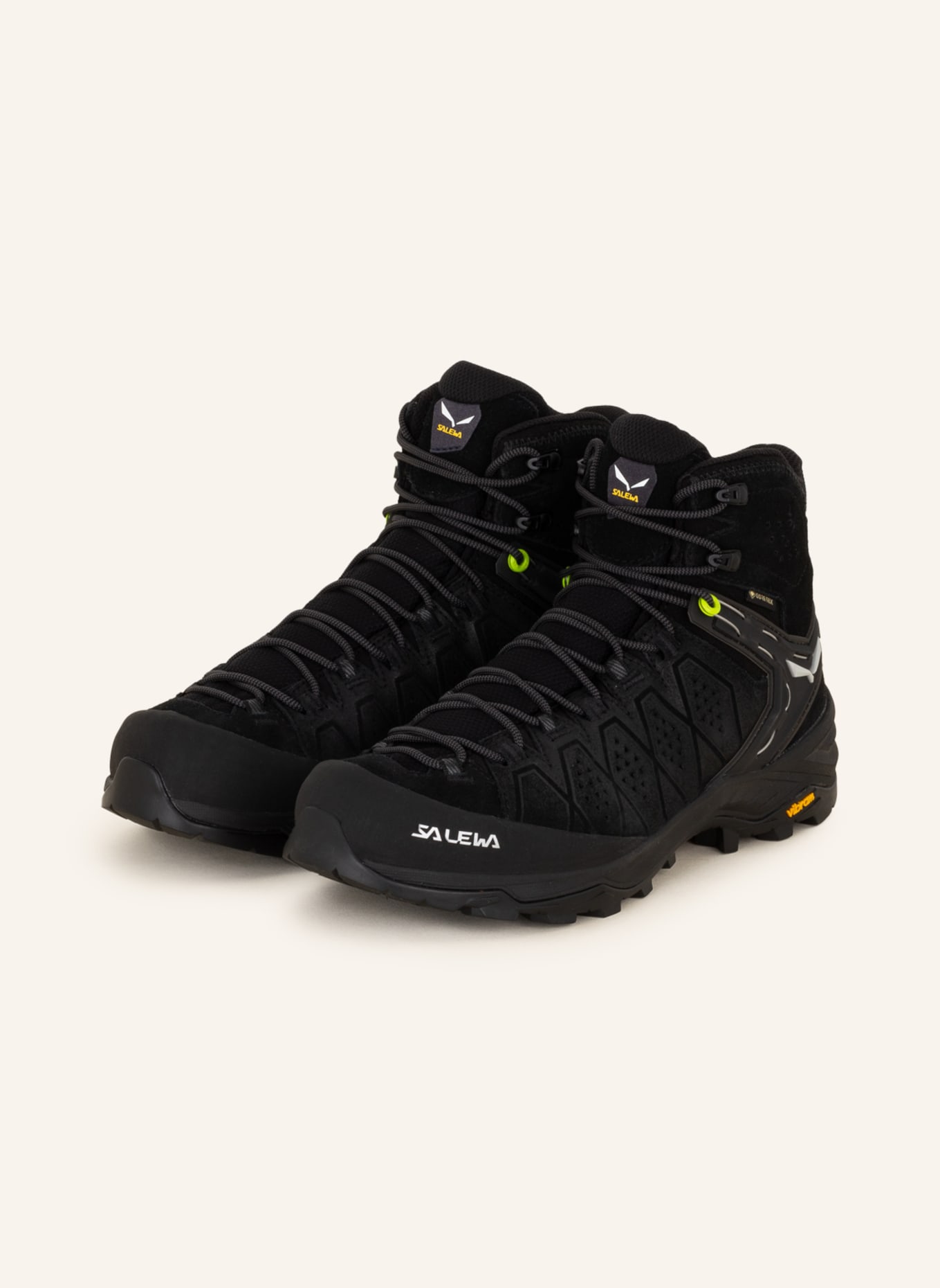 SALEWA Trekking shoes ALP TRAINER 2 MID GTX, Color: BLACK (Image 1)