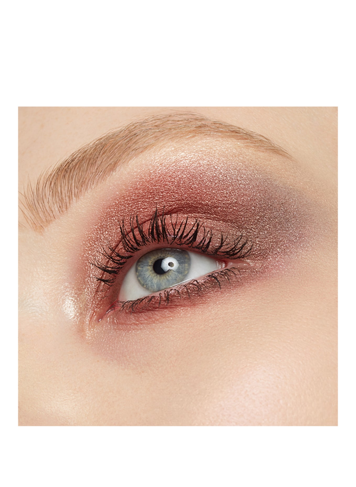 BYREDO EYESHADOW 5 COLOURS: CORPORATE COLORS