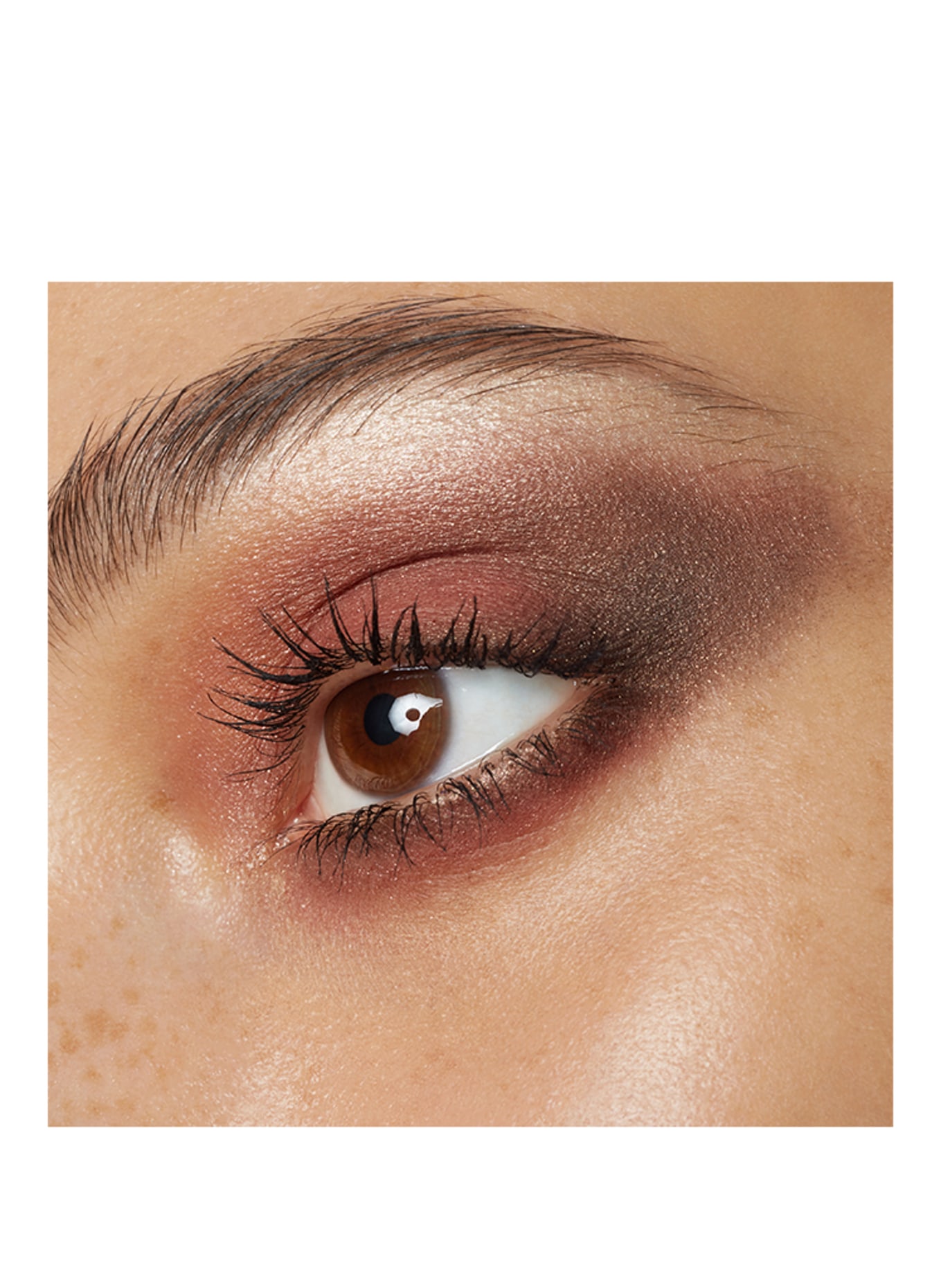 BYREDO EYESHADOW 5 COLOURS: CORPORATE COLORS