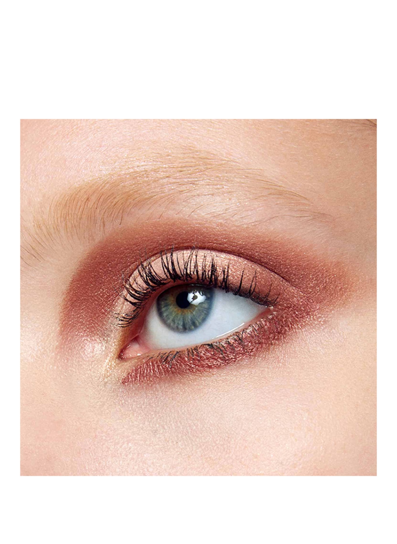BYREDO EYESHADOW 5 COLOURS: DYSCO
