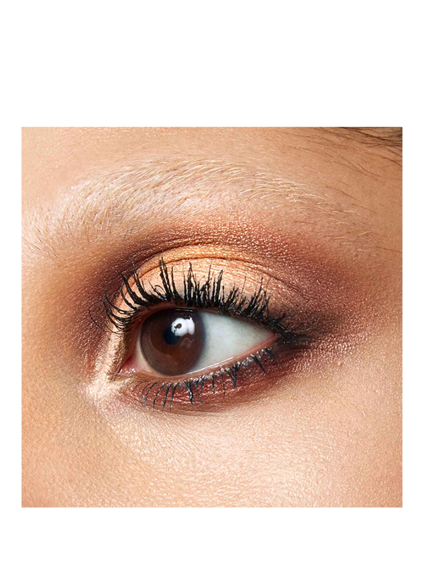 BYREDO EYESHADOW 5 COLOURS: DYSCO