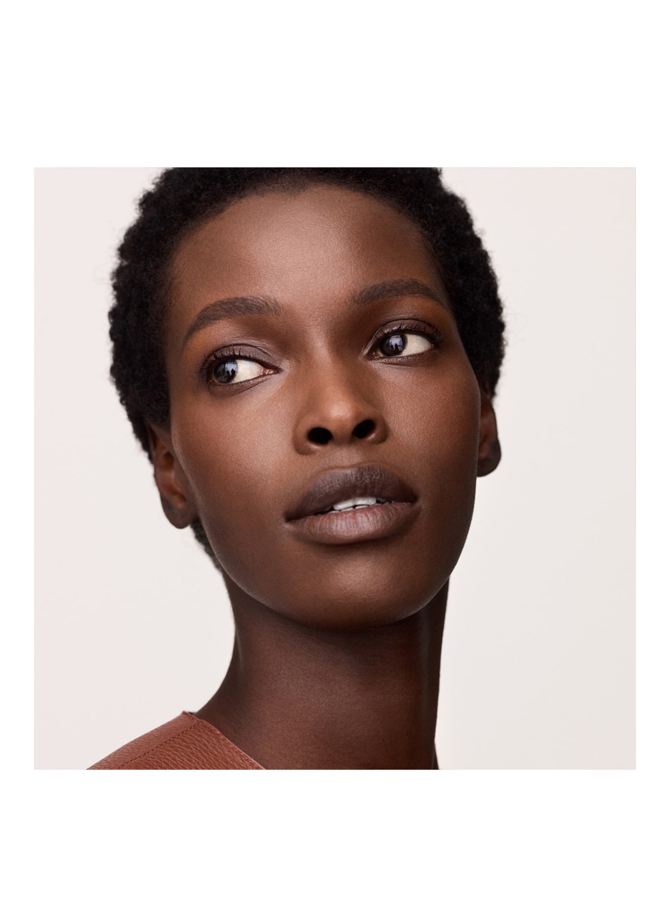 HERMÈS HERMÈS PLEIN AIR: 90 ALEZAN