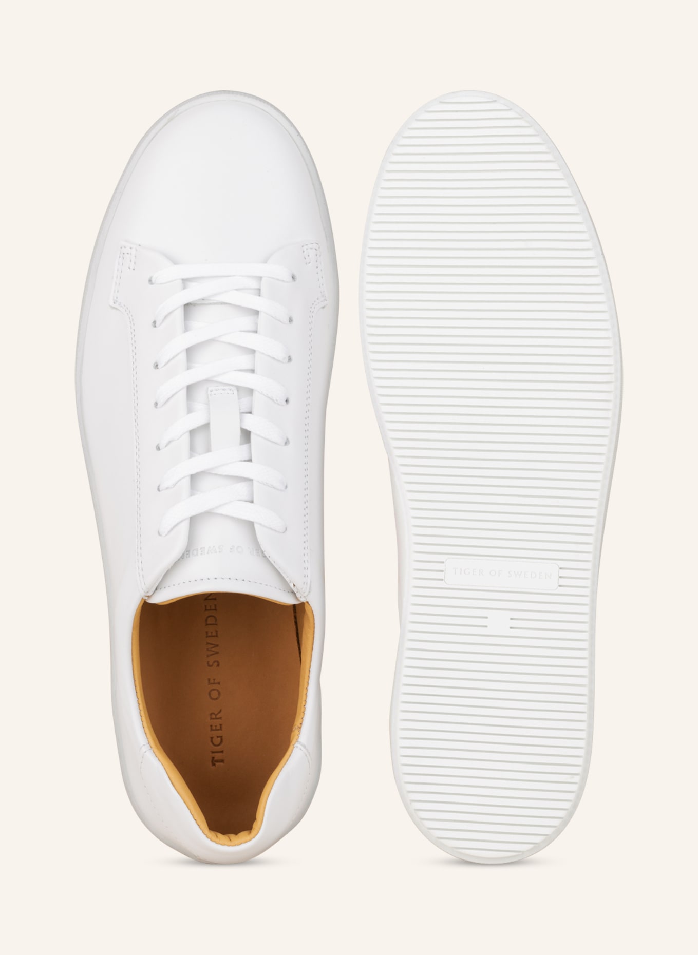 TIGER OF SWEDEN Sneakers SALAS, Color: WHITE (Image 5)