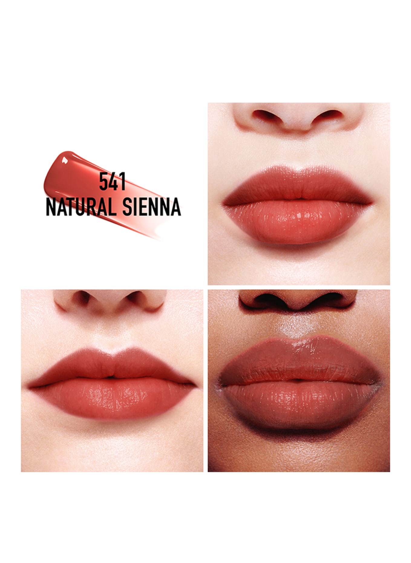 DIOR DIOR ADDICT LIP TINT: 541 NATURAL SIENNA