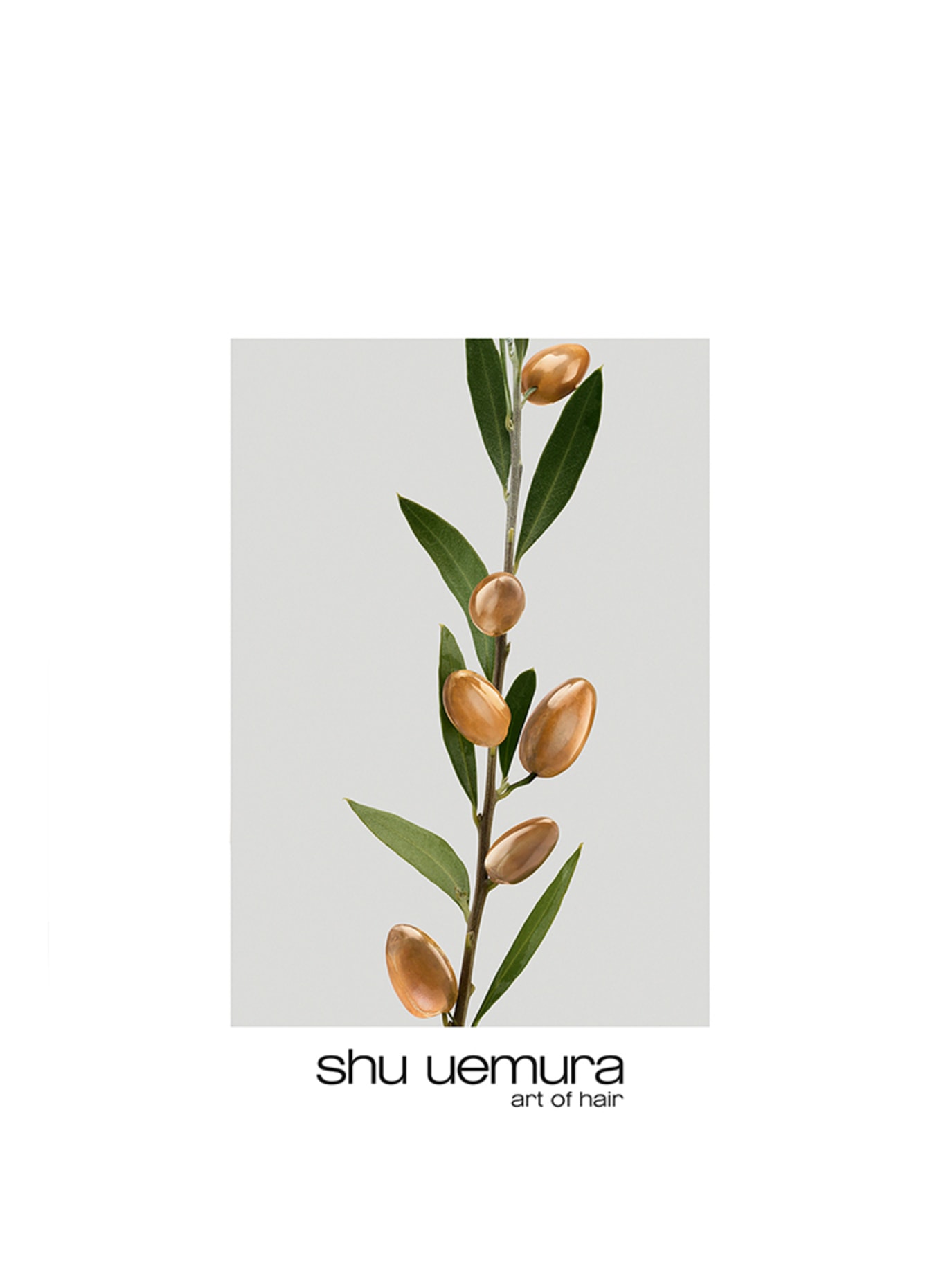 shu uemura SILK BLOOM (Obrázek 3)