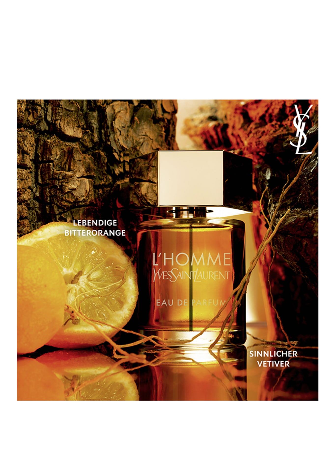 YVES SAINT LAURENT BEAUTÉ L'HOMME