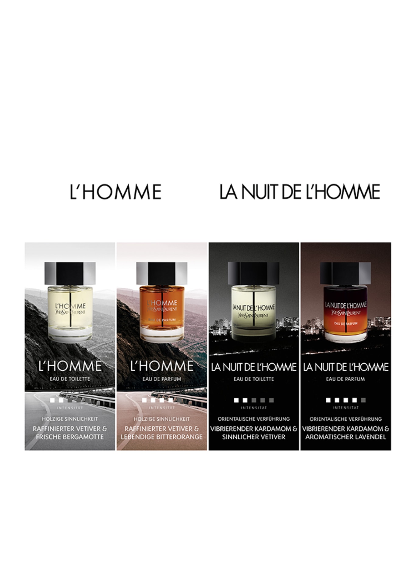 YVES SAINT LAURENT BEAUTÉ L'HOMME