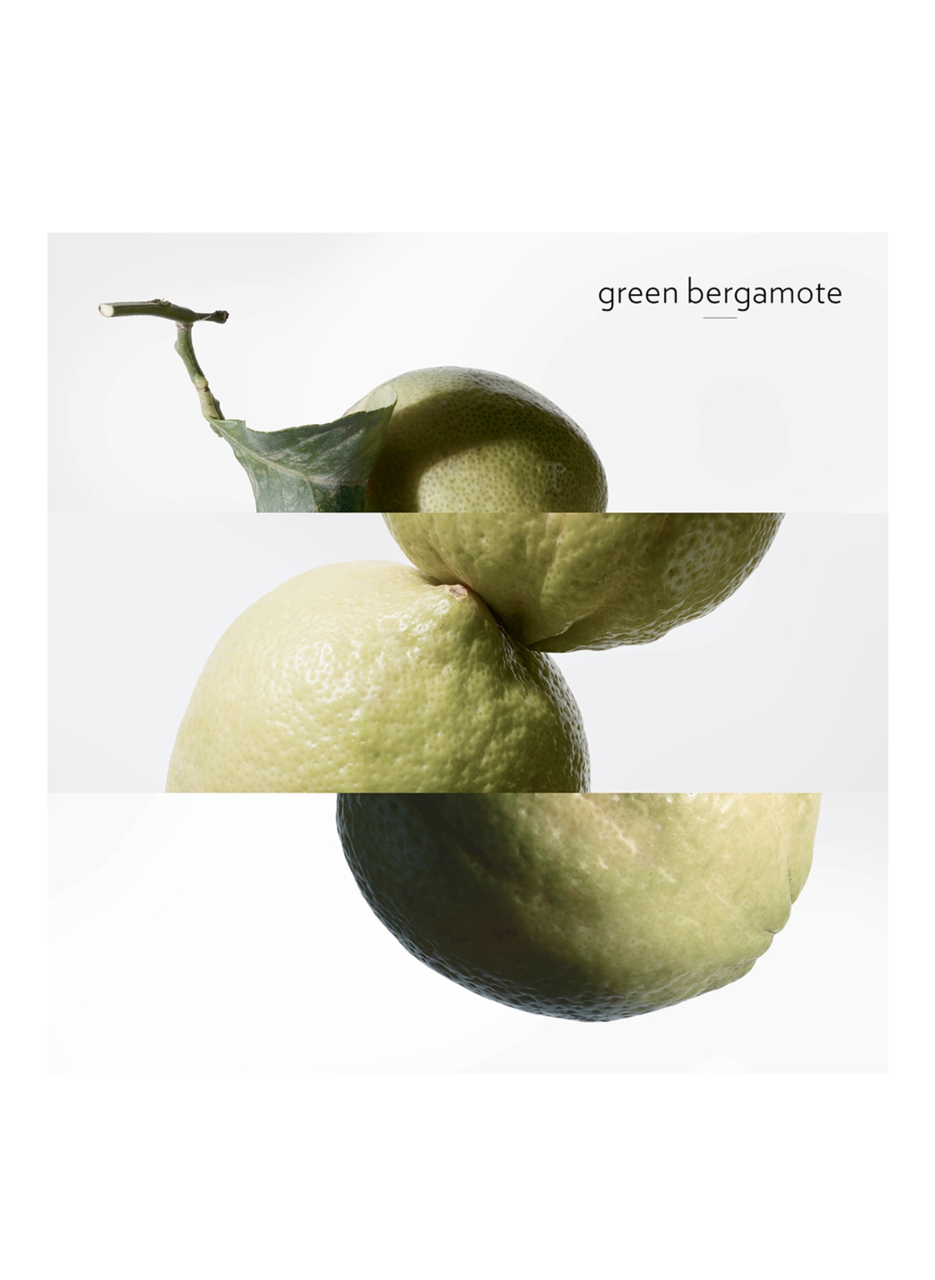 HERMÈS EAU DE BASILIC POURPRE