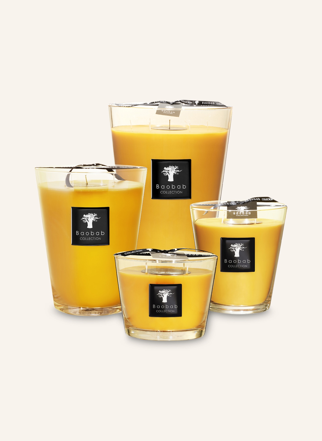 Baobab COLLECTION Duftkerze ZANZIBAR SPICES: DUNKELGELB